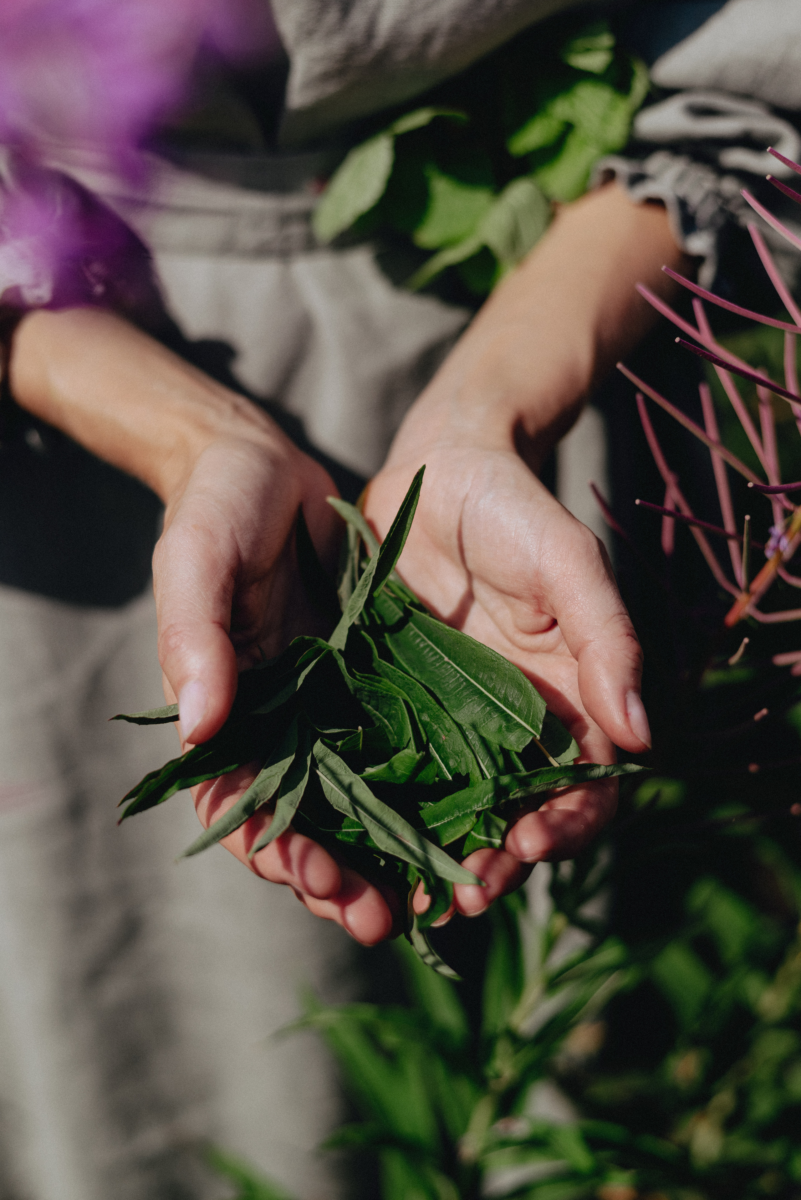 «Таёжная кладовая». Екатерина Курбанова. Женский фотограф