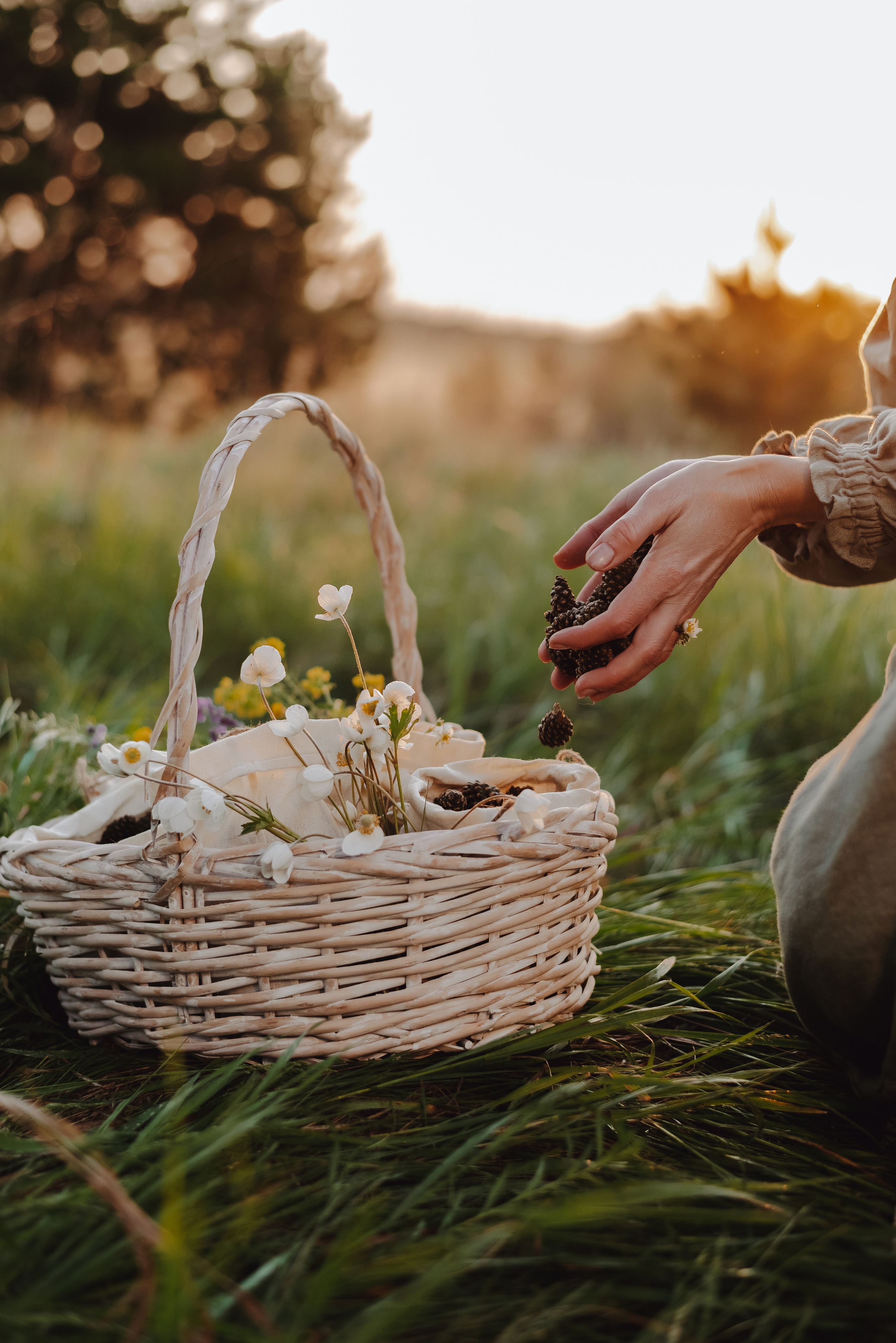 «Таёжная кладовая». Екатерина Курбанова. Женский фотограф