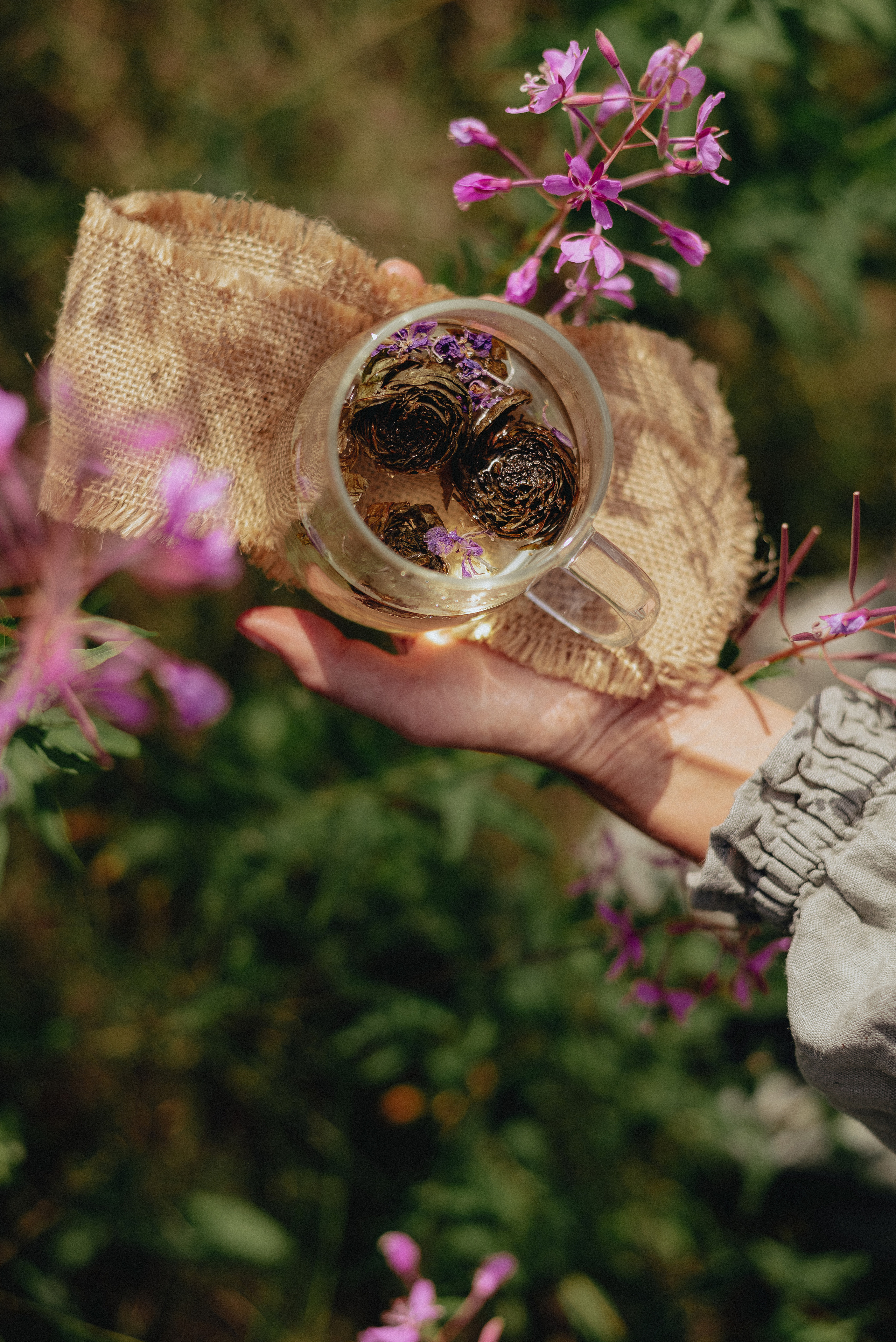 «Таёжная кладовая». Екатерина Курбанова. Женский фотограф