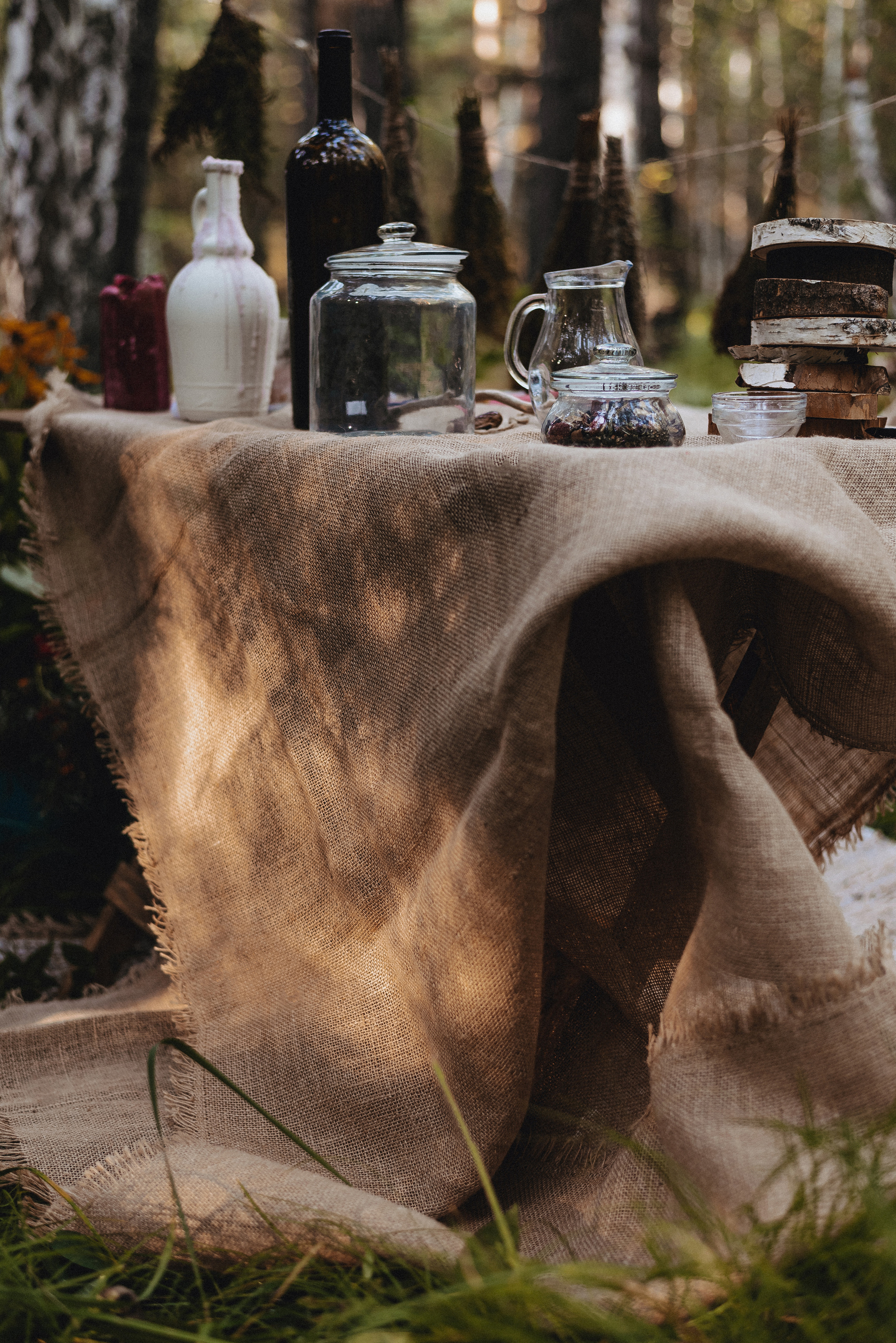 «Таёжная кладовая». Екатерина Курбанова. Женский фотограф