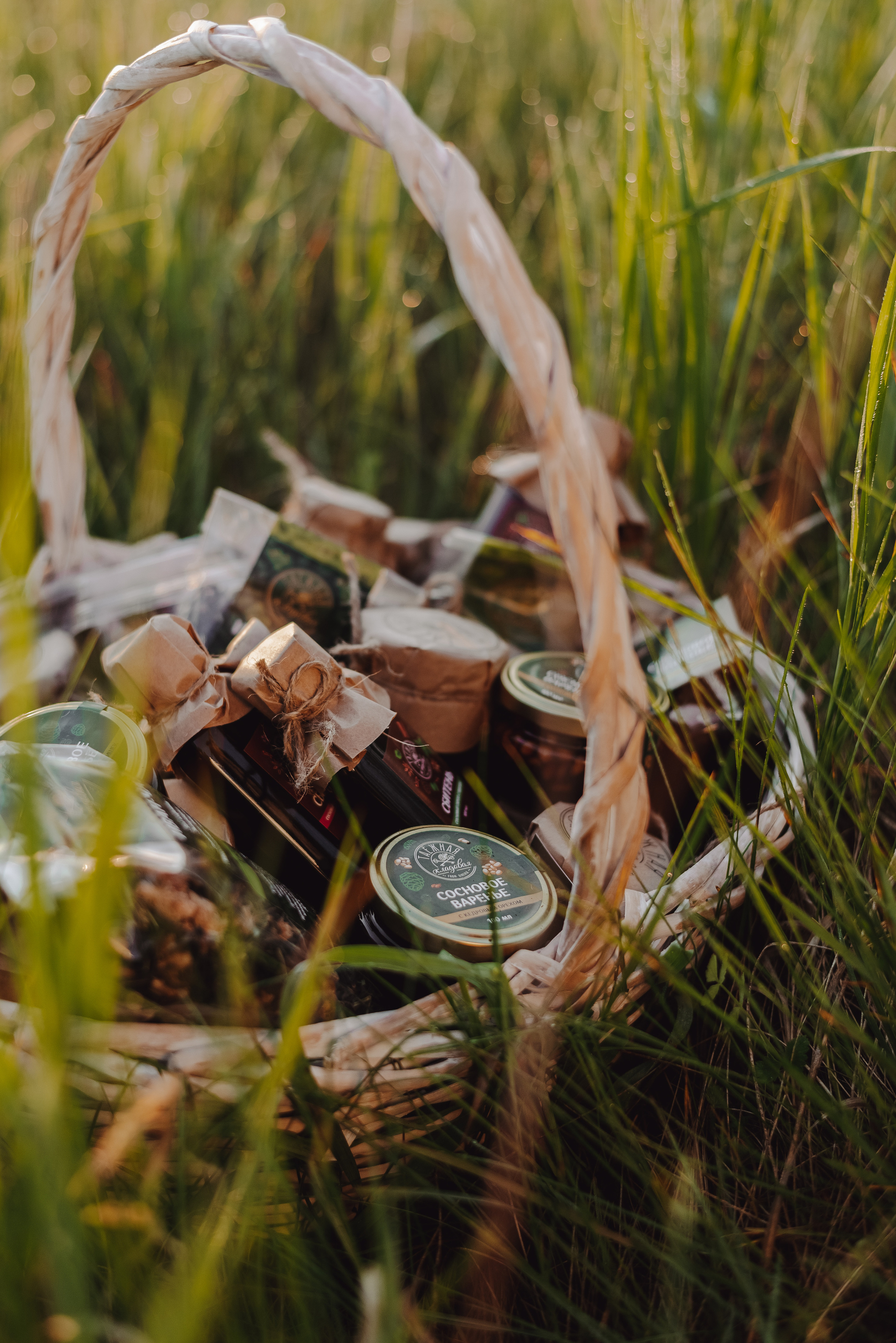 «Таёжная кладовая». Екатерина Курбанова. Женский фотограф
