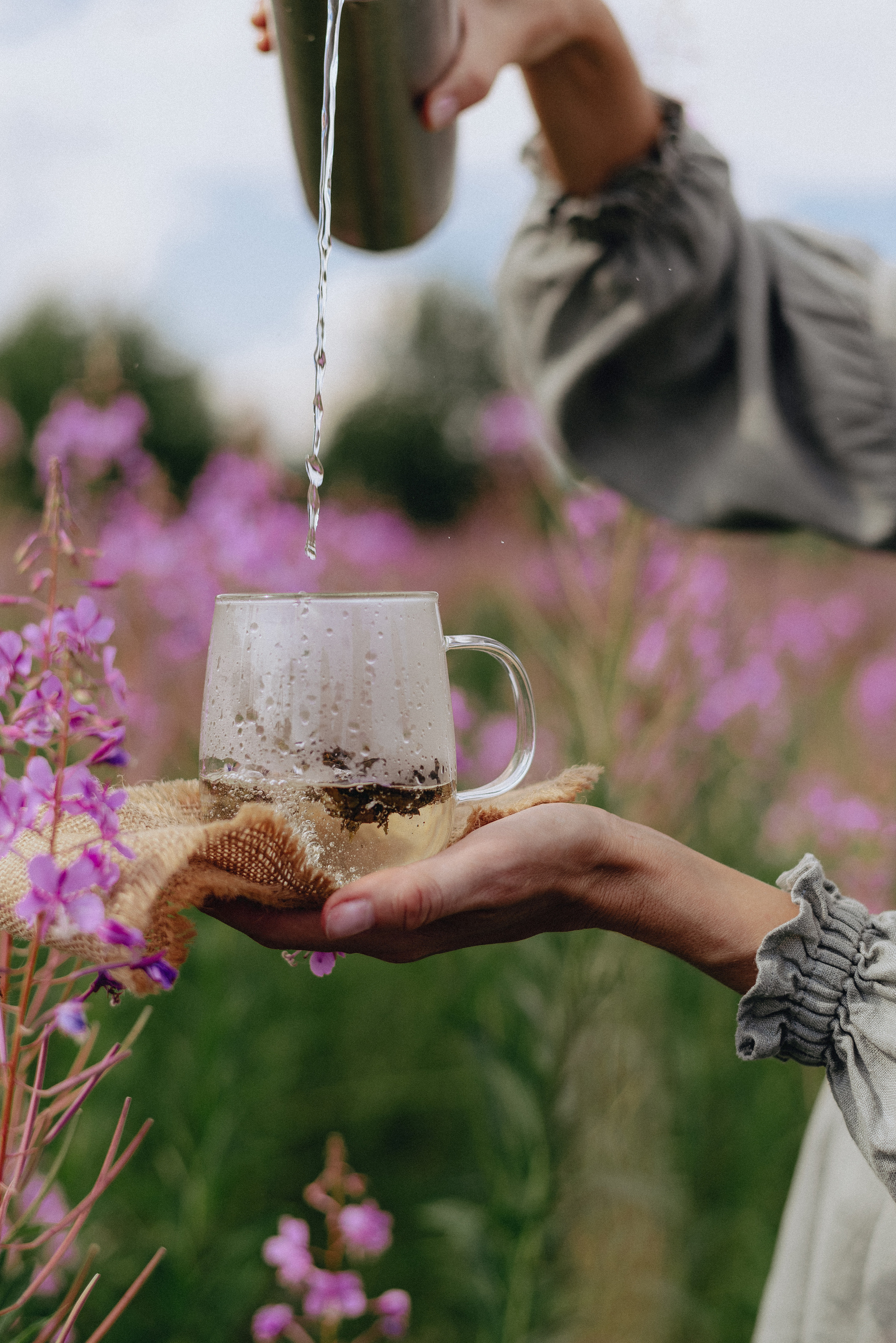 «Таёжная кладовая». Екатерина Курбанова. Женский фотограф