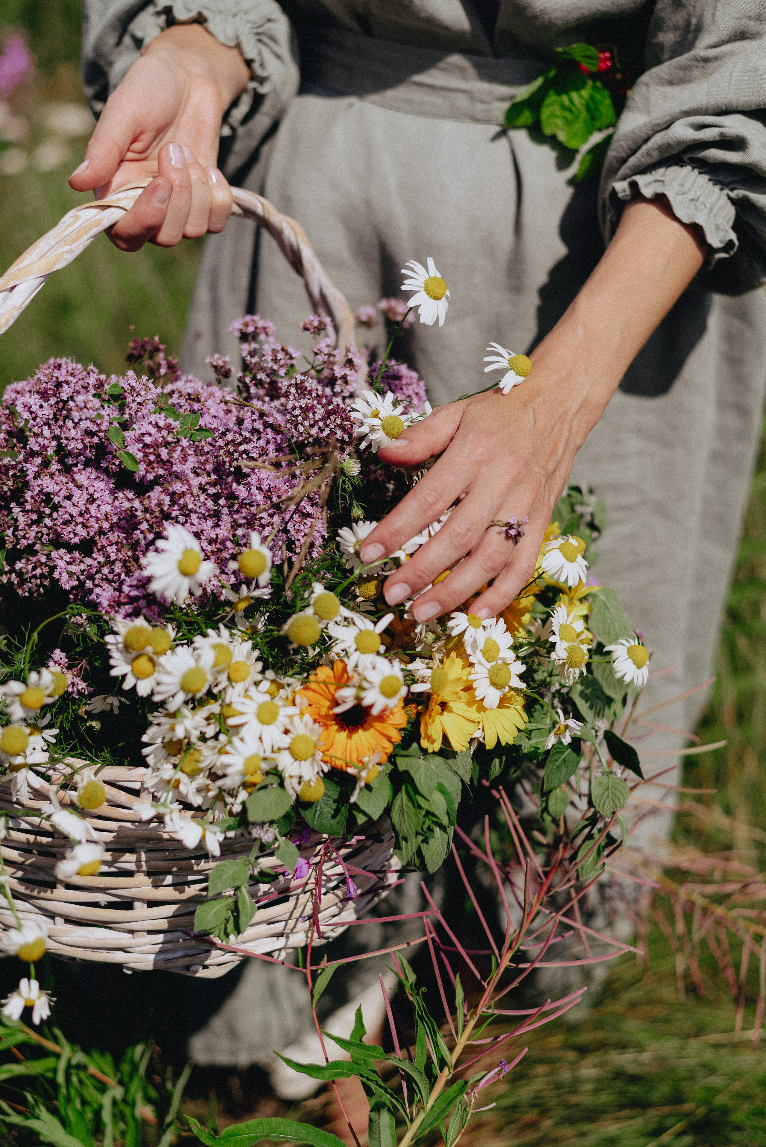 «Таёжная кладовая». Екатерина Курбанова. Женский фотограф