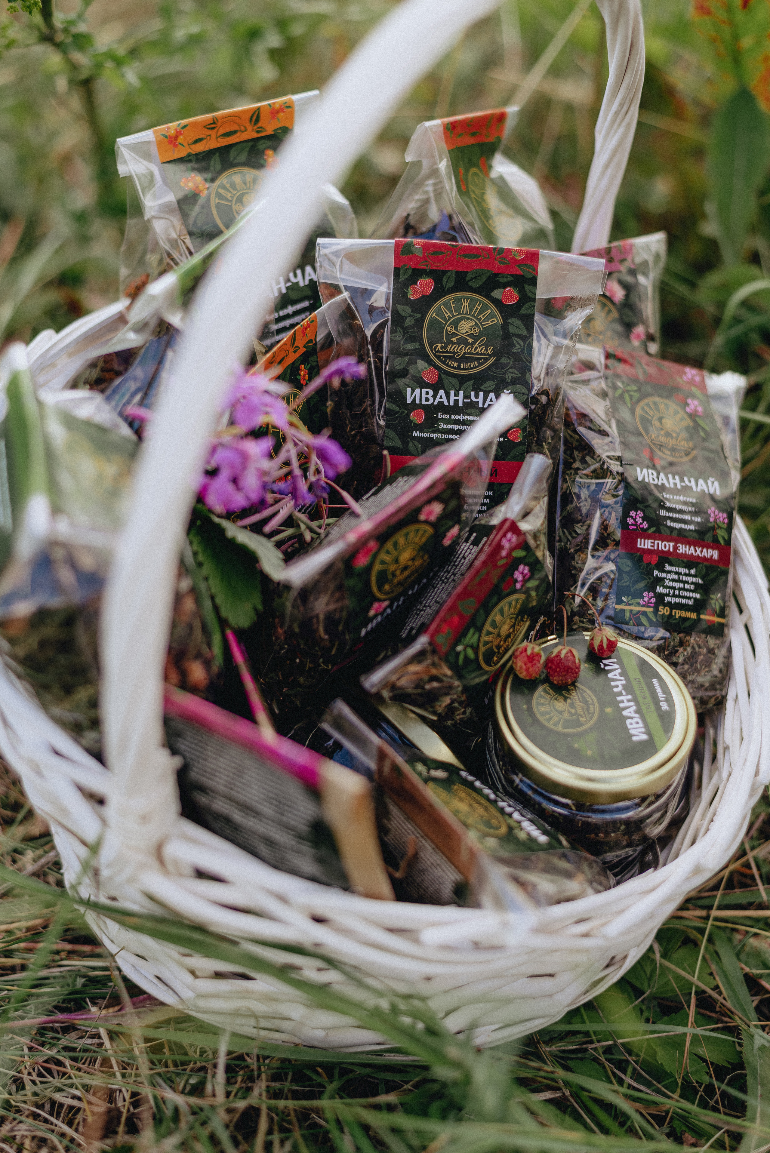 «Таёжная кладовая». Екатерина Курбанова. Женский фотограф