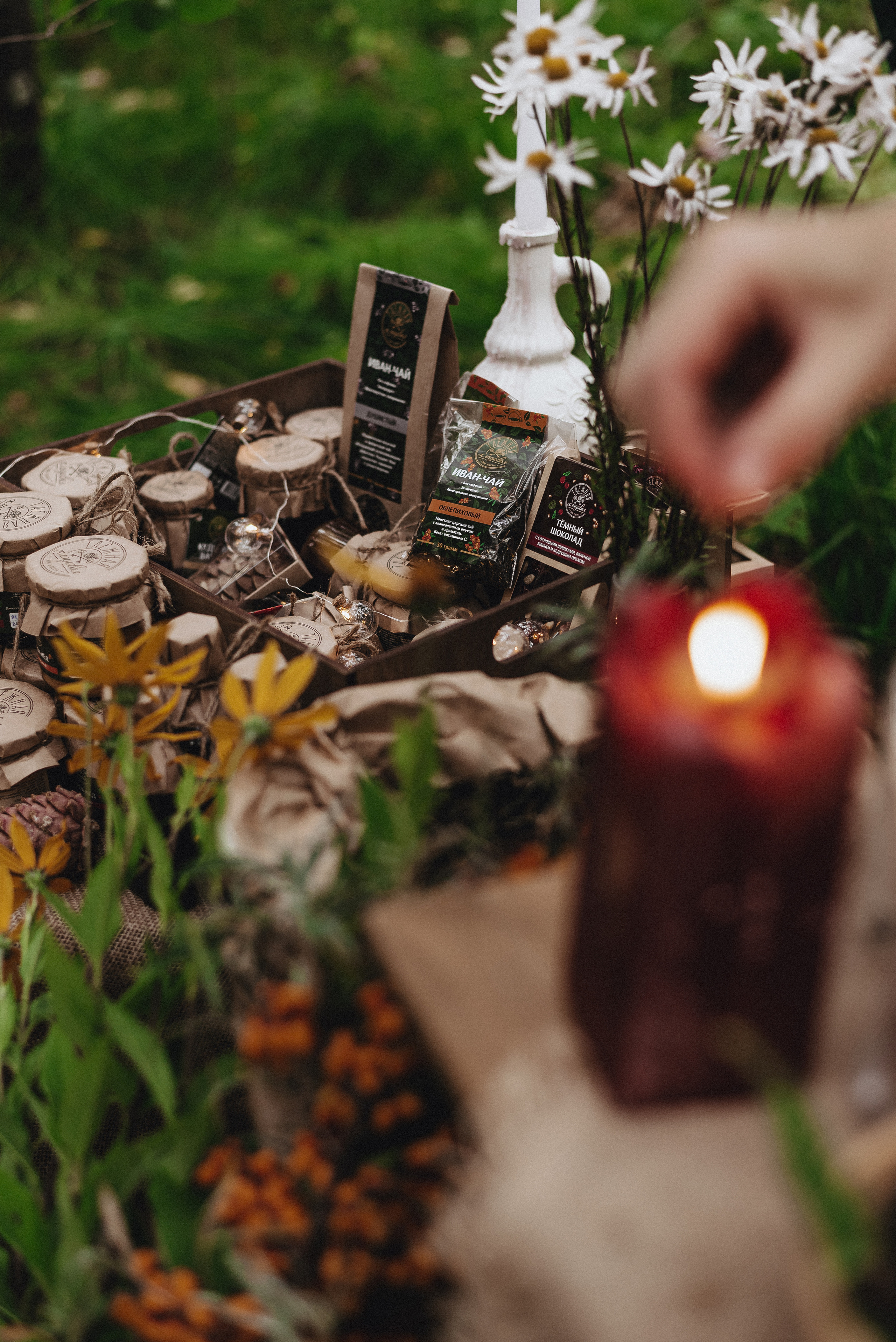 «Таёжная кладовая». Екатерина Курбанова. Женский фотограф