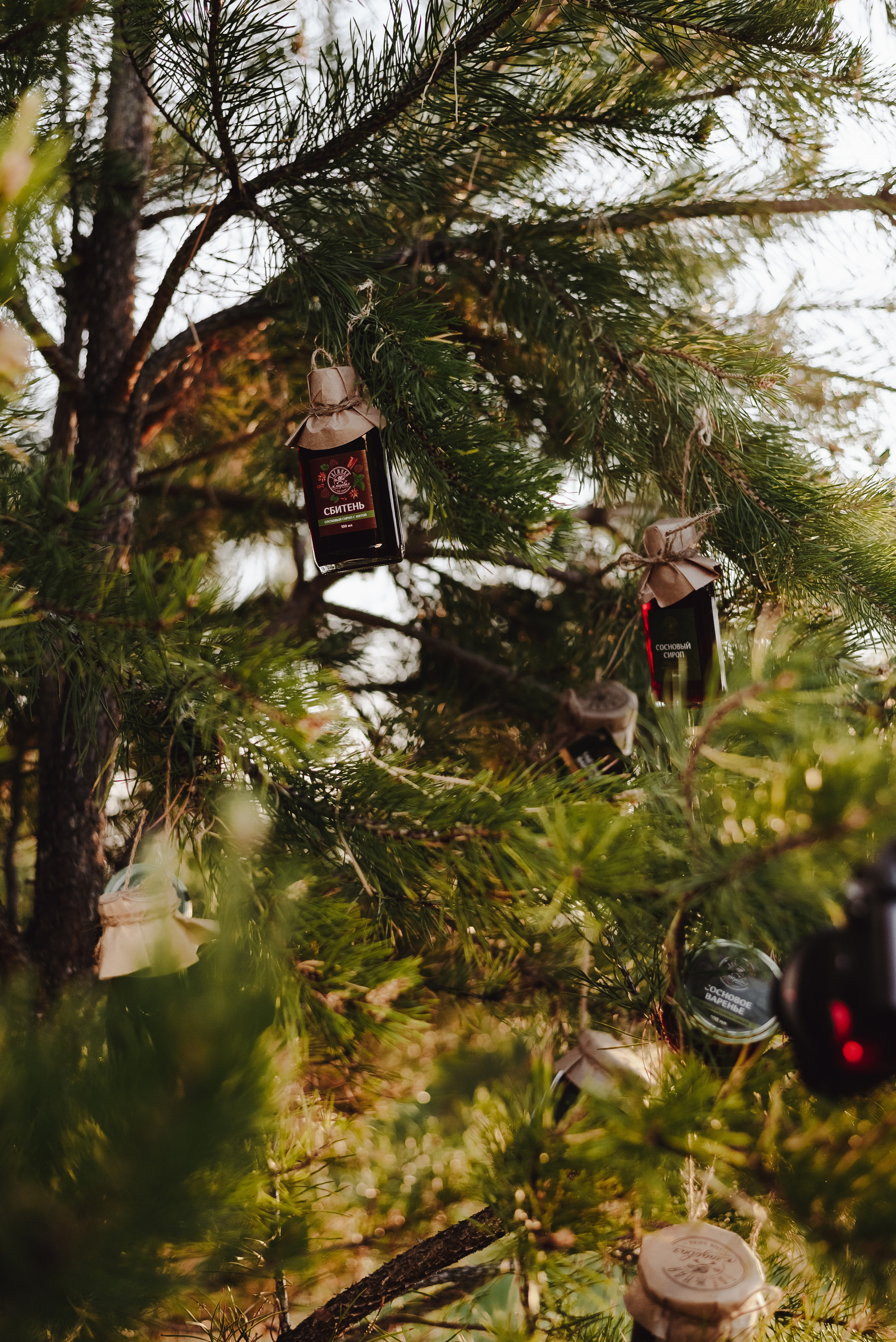 «Таёжная кладовая». Екатерина Курбанова. Женский фотограф