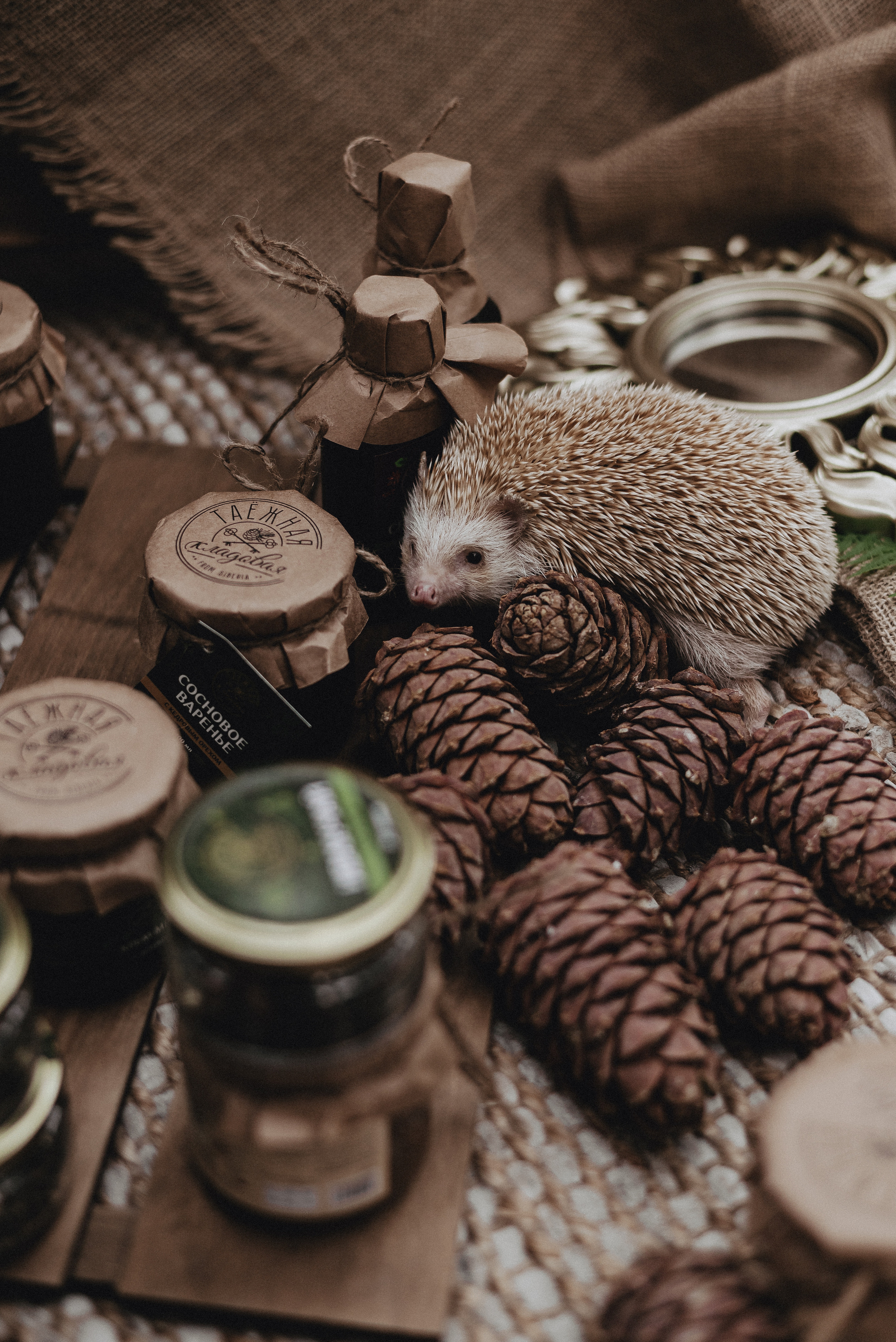 «Таёжная кладовая». Екатерина Курбанова. Женский фотограф