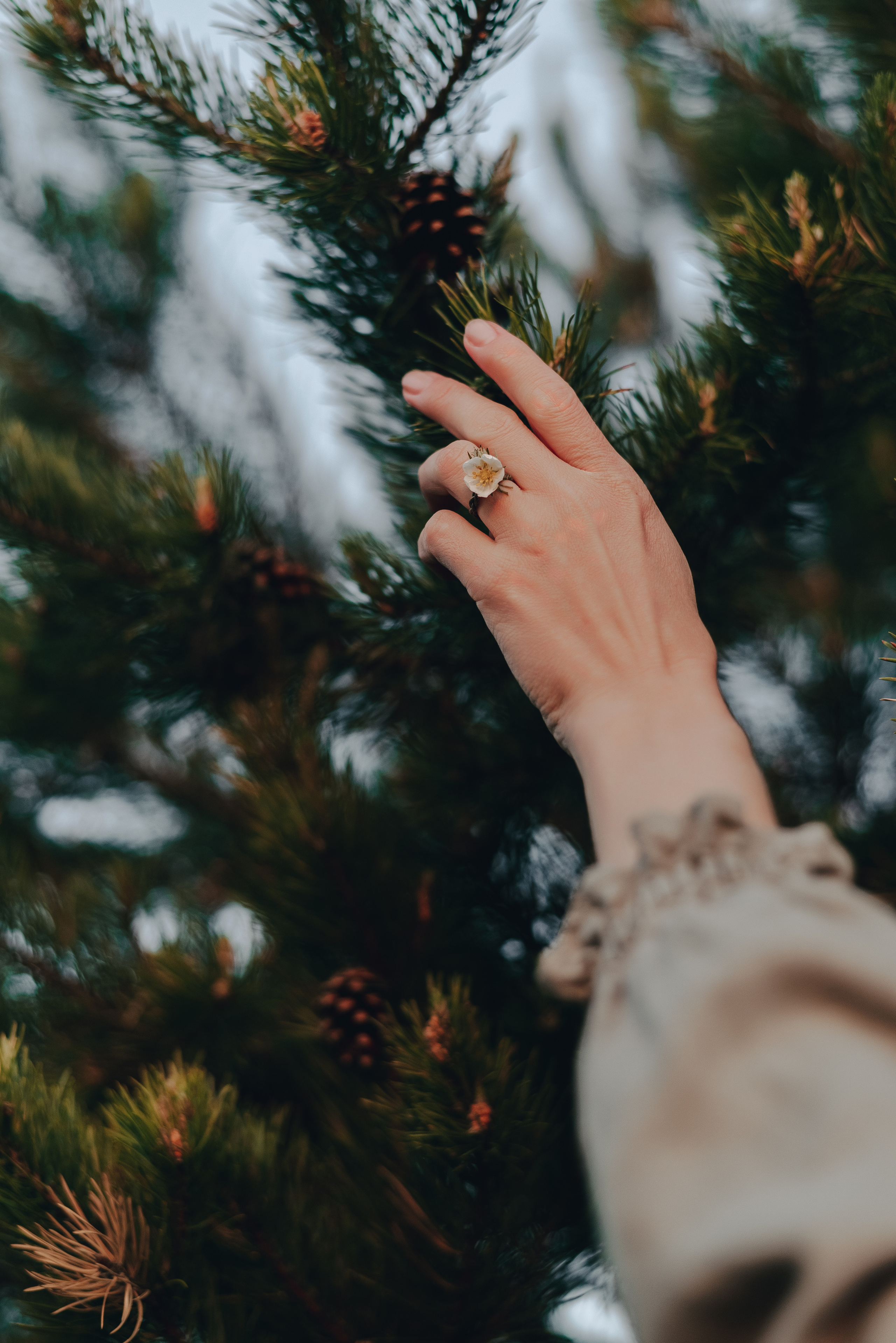 «Таёжная кладовая». Екатерина Курбанова. Женский фотограф