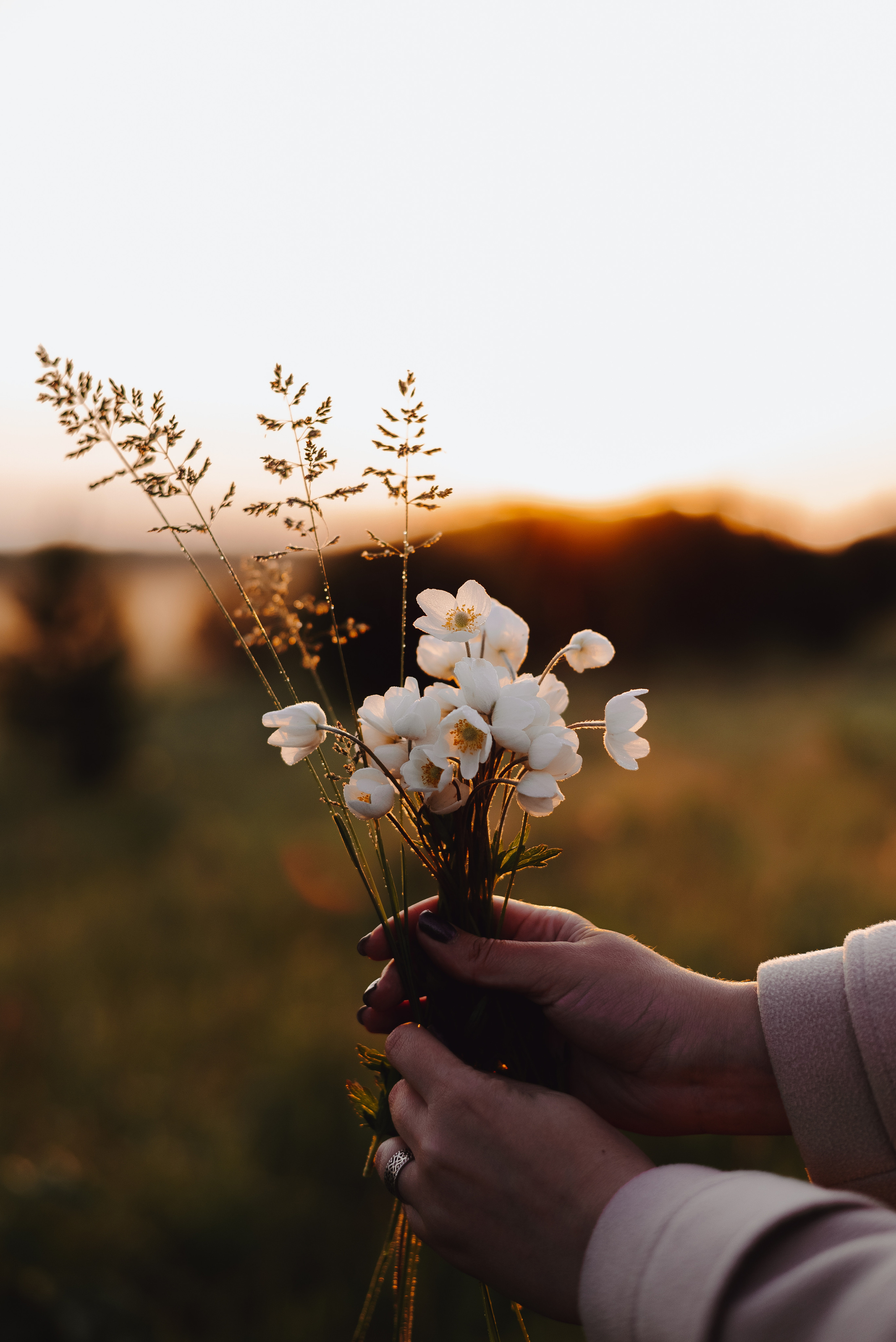 «Таёжная кладовая». Екатерина Курбанова. Женский фотограф