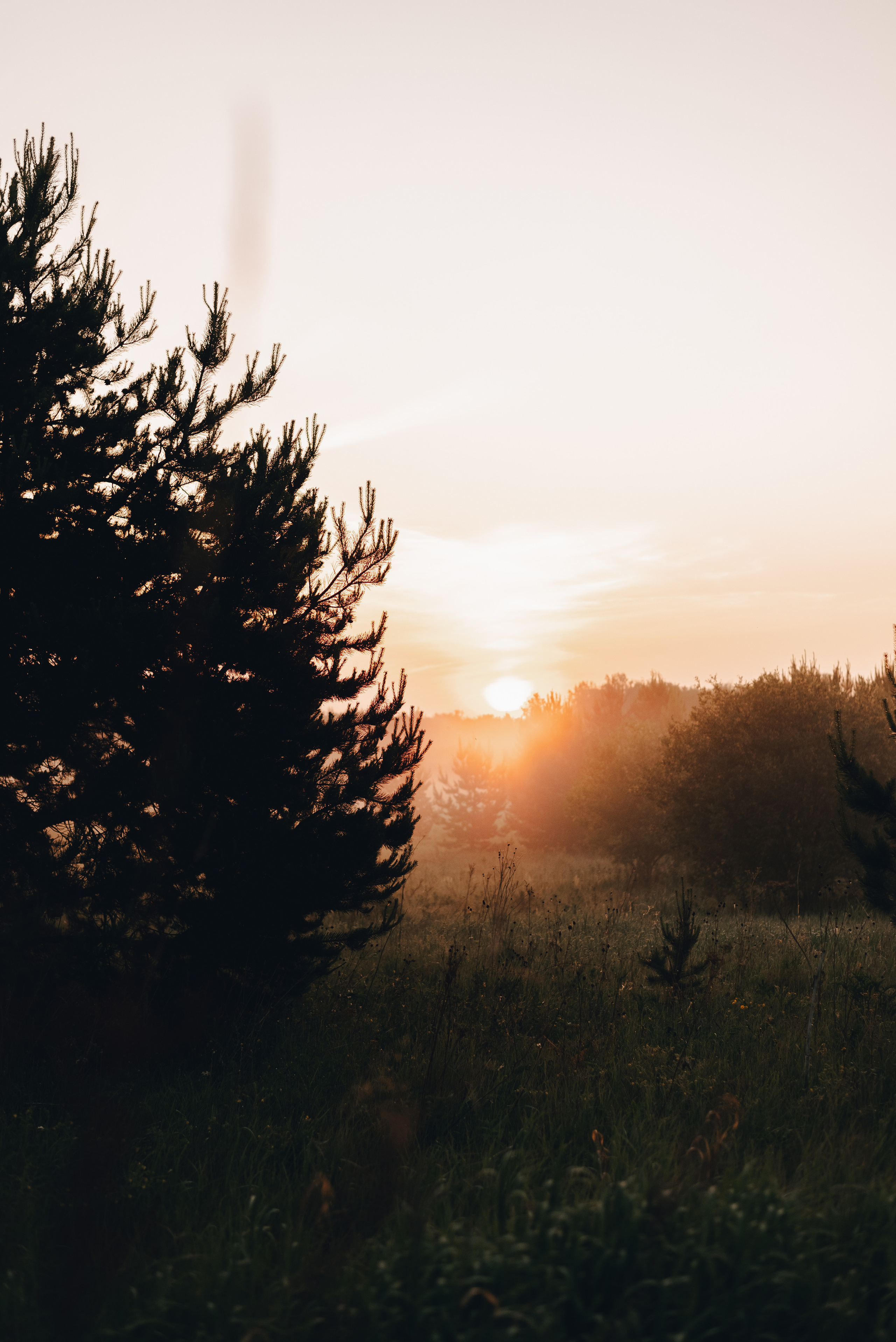 «Таёжная кладовая». Екатерина Курбанова. Женский фотограф
