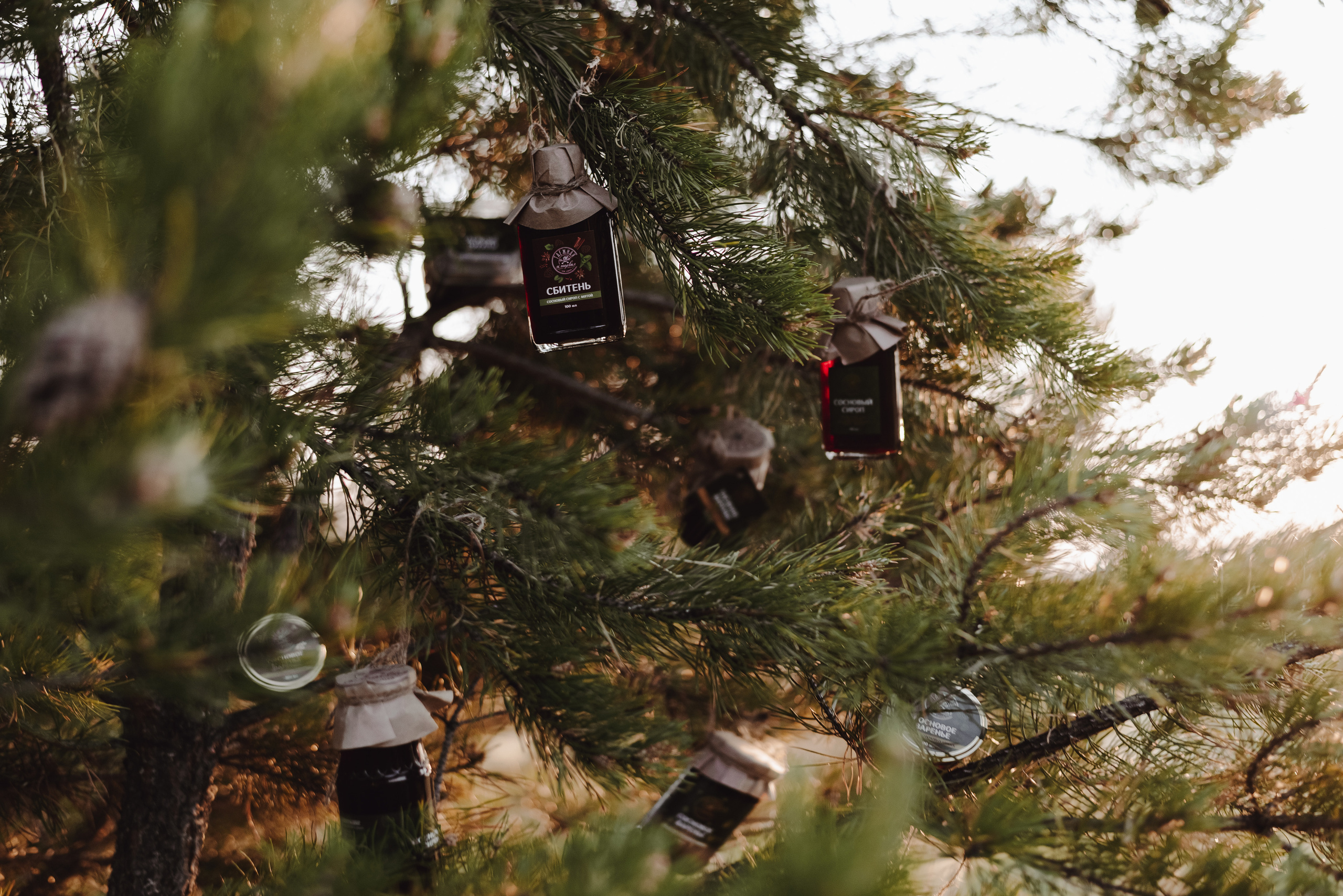 «Таёжная кладовая». Екатерина Курбанова. Женский фотограф