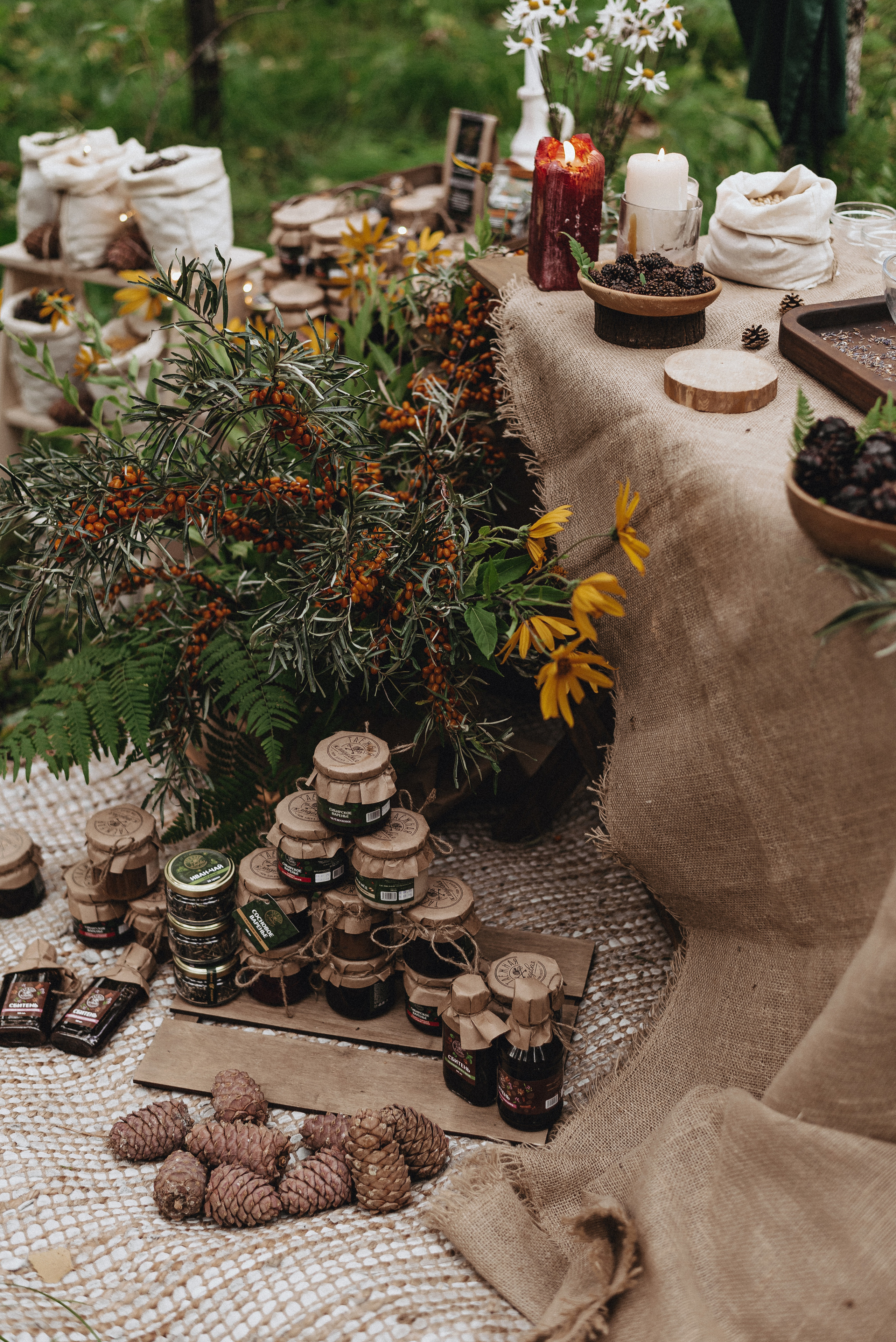 «Таёжная кладовая». Екатерина Курбанова. Женский фотограф