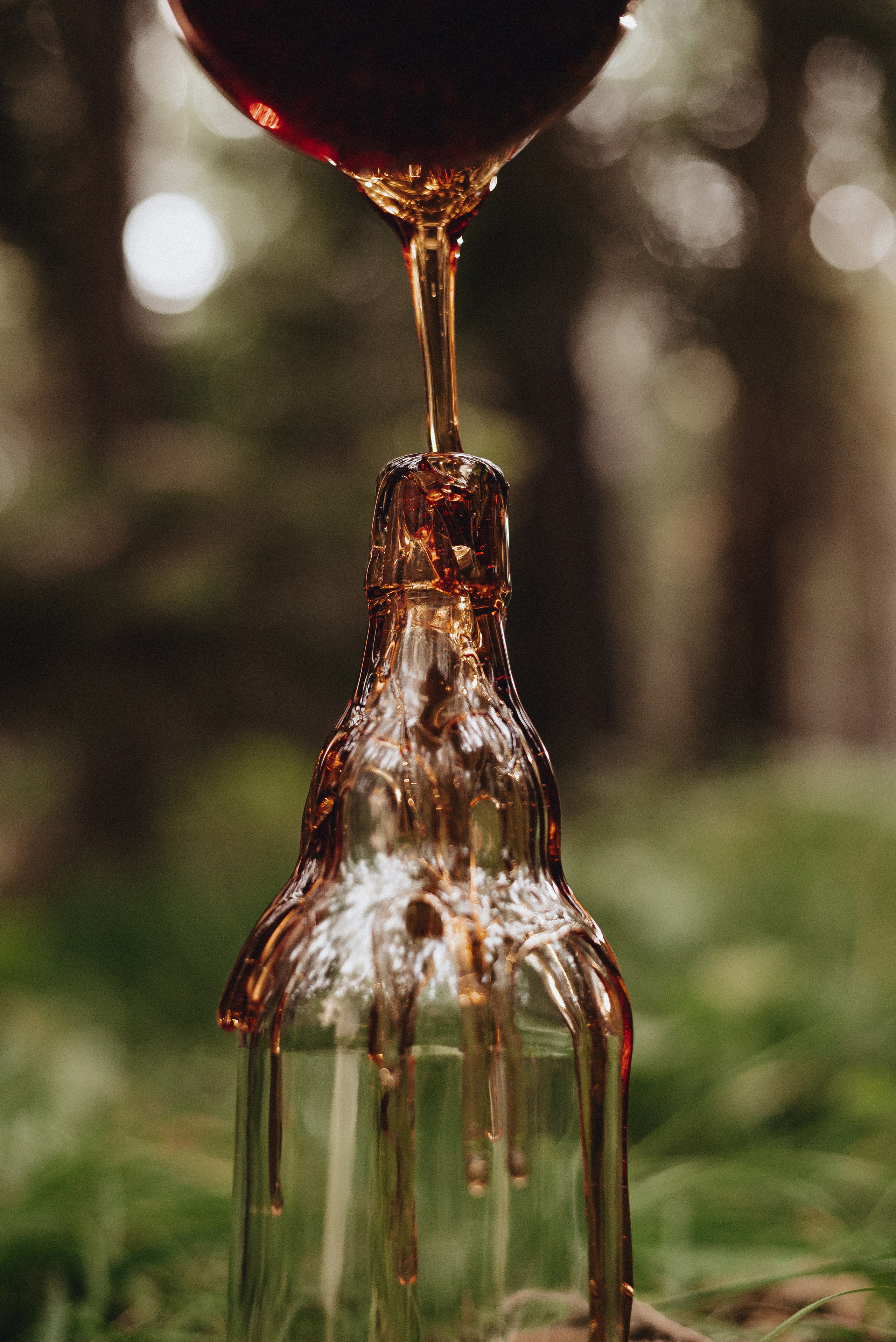 «Таёжная кладовая». Екатерина Курбанова. Женский фотограф