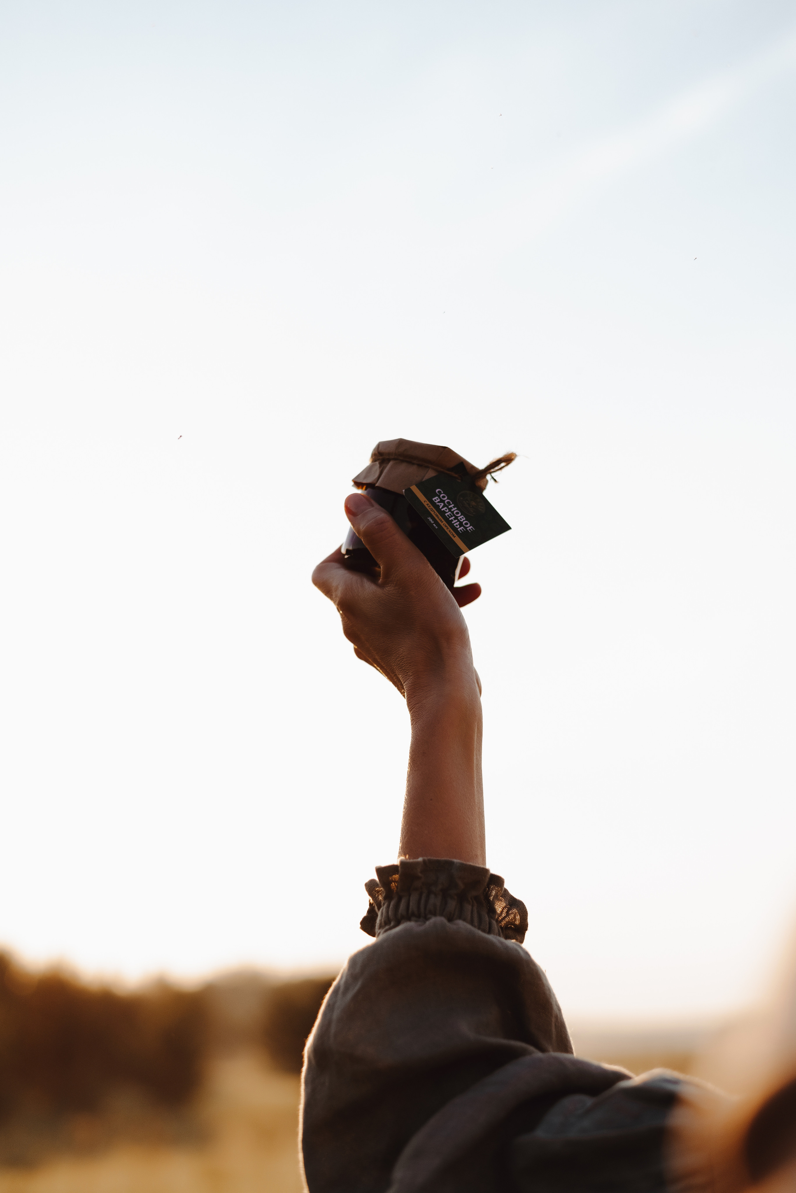 «Таёжная кладовая». Екатерина Курбанова. Женский фотограф