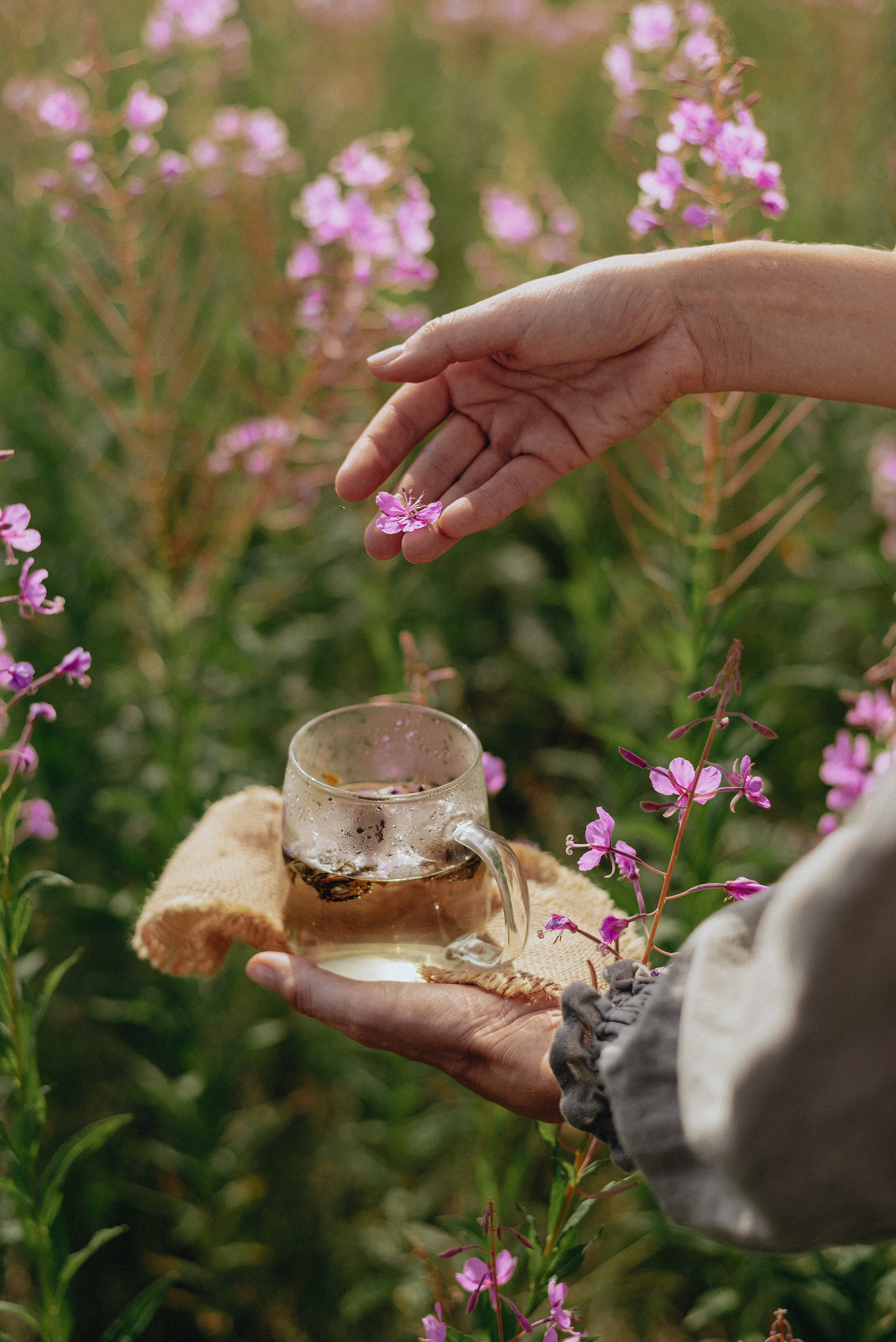 «Таёжная кладовая». Екатерина Курбанова. Женский фотограф