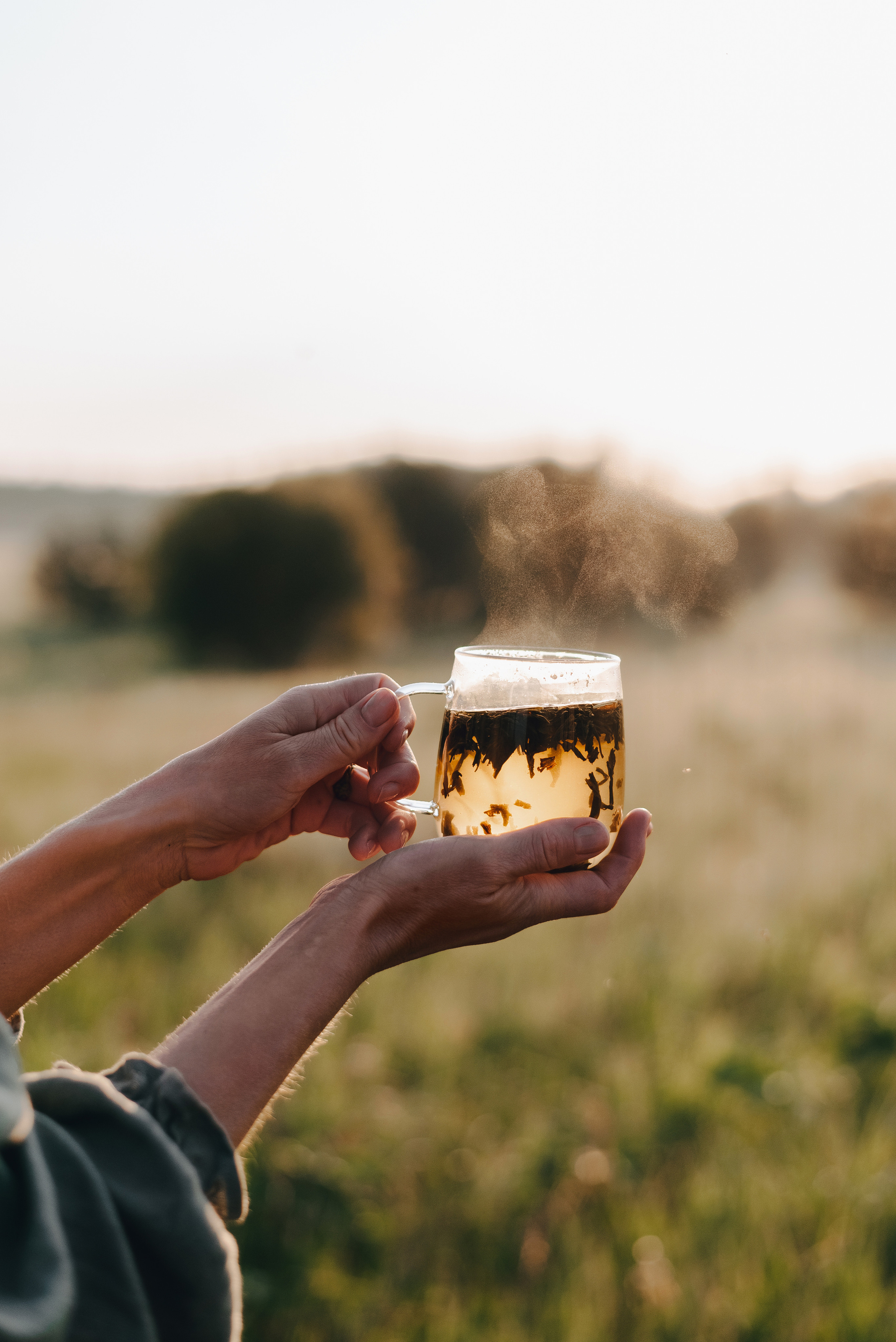 «Таёжная кладовая». Екатерина Курбанова. Женский фотограф