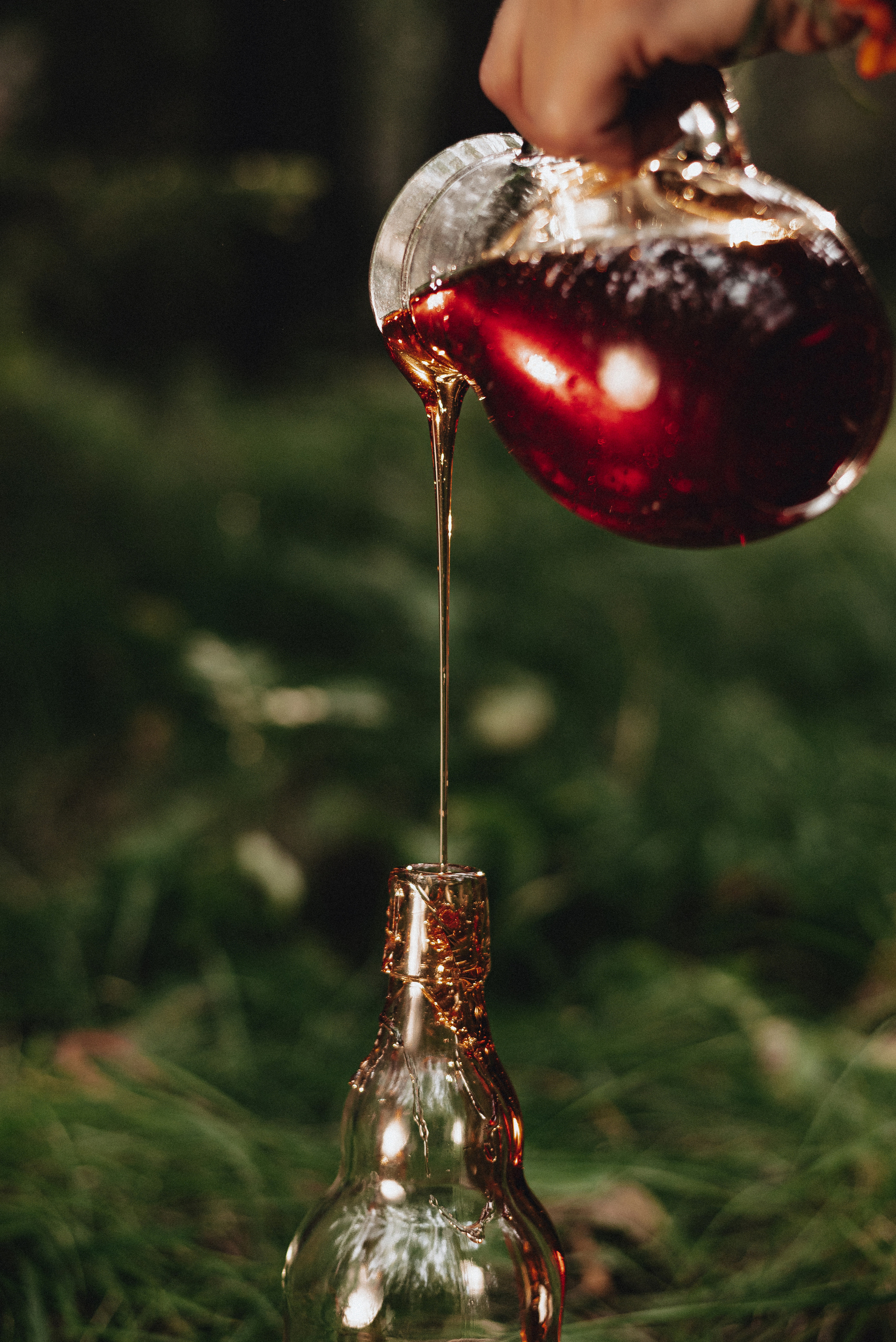 «Таёжная кладовая». Екатерина Курбанова. Женский фотограф