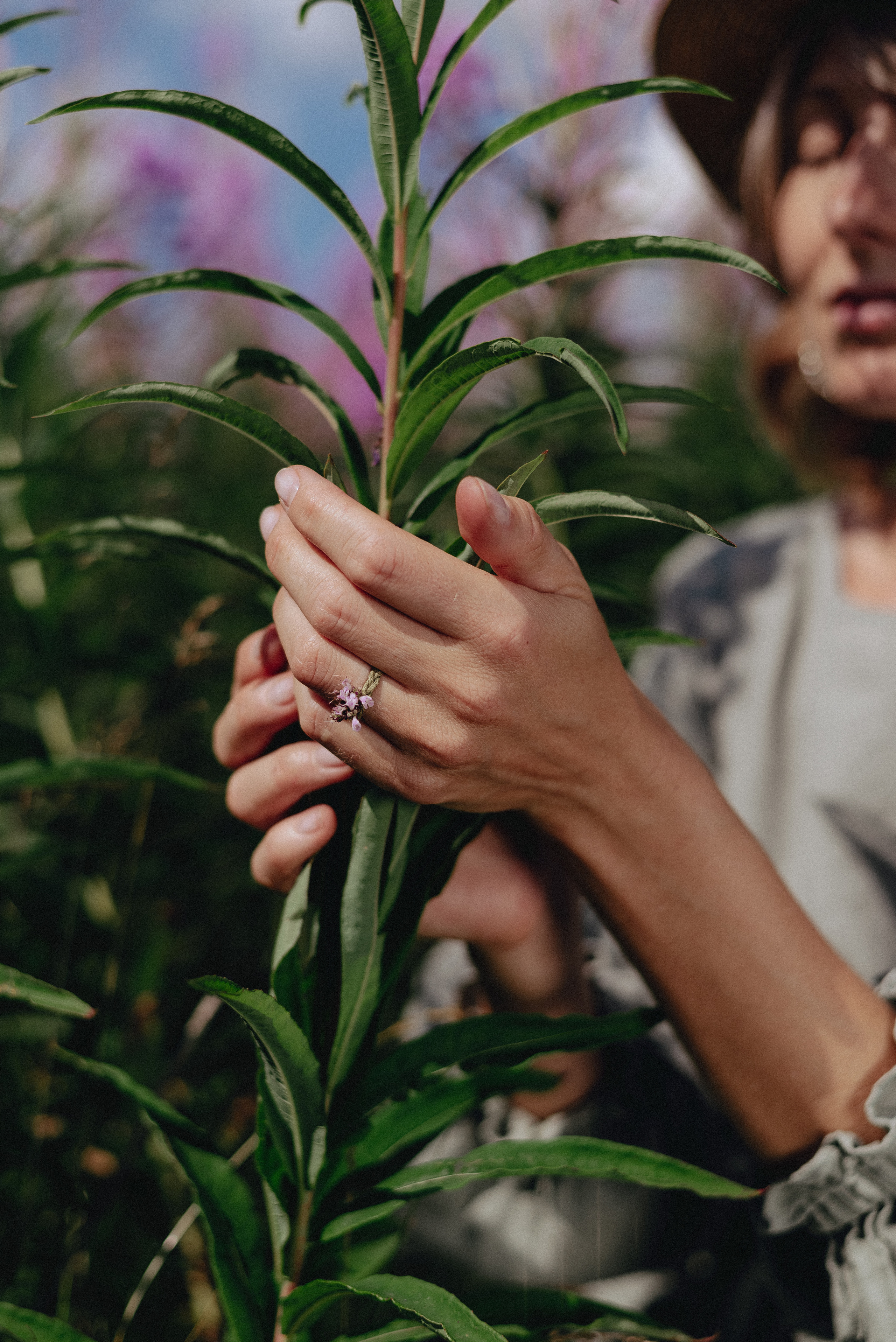 «Таёжная кладовая». Екатерина Курбанова. Женский фотограф