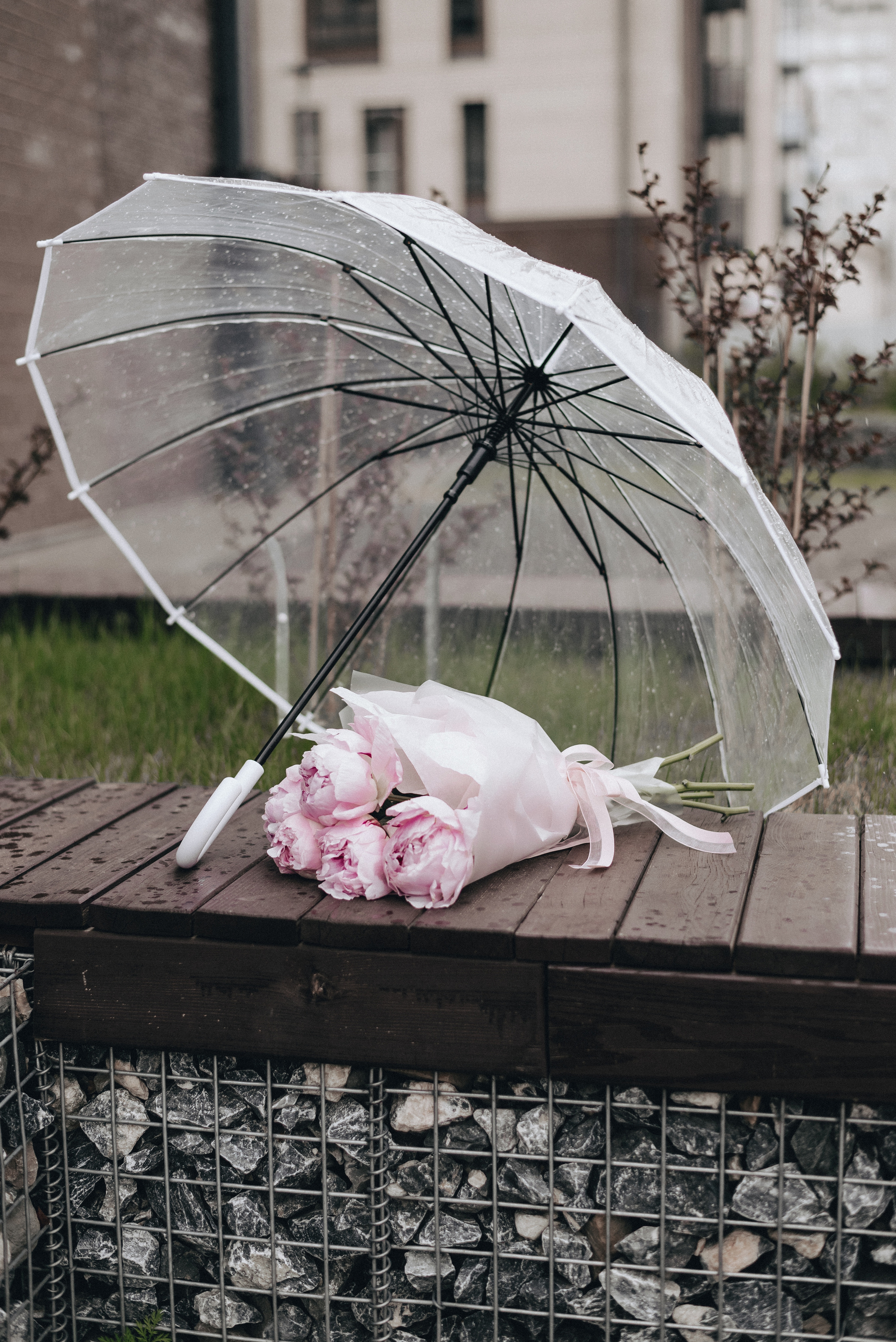 ЖЕНЯ ШУТОВА. Екатерина Курбанова. Женский фотограф