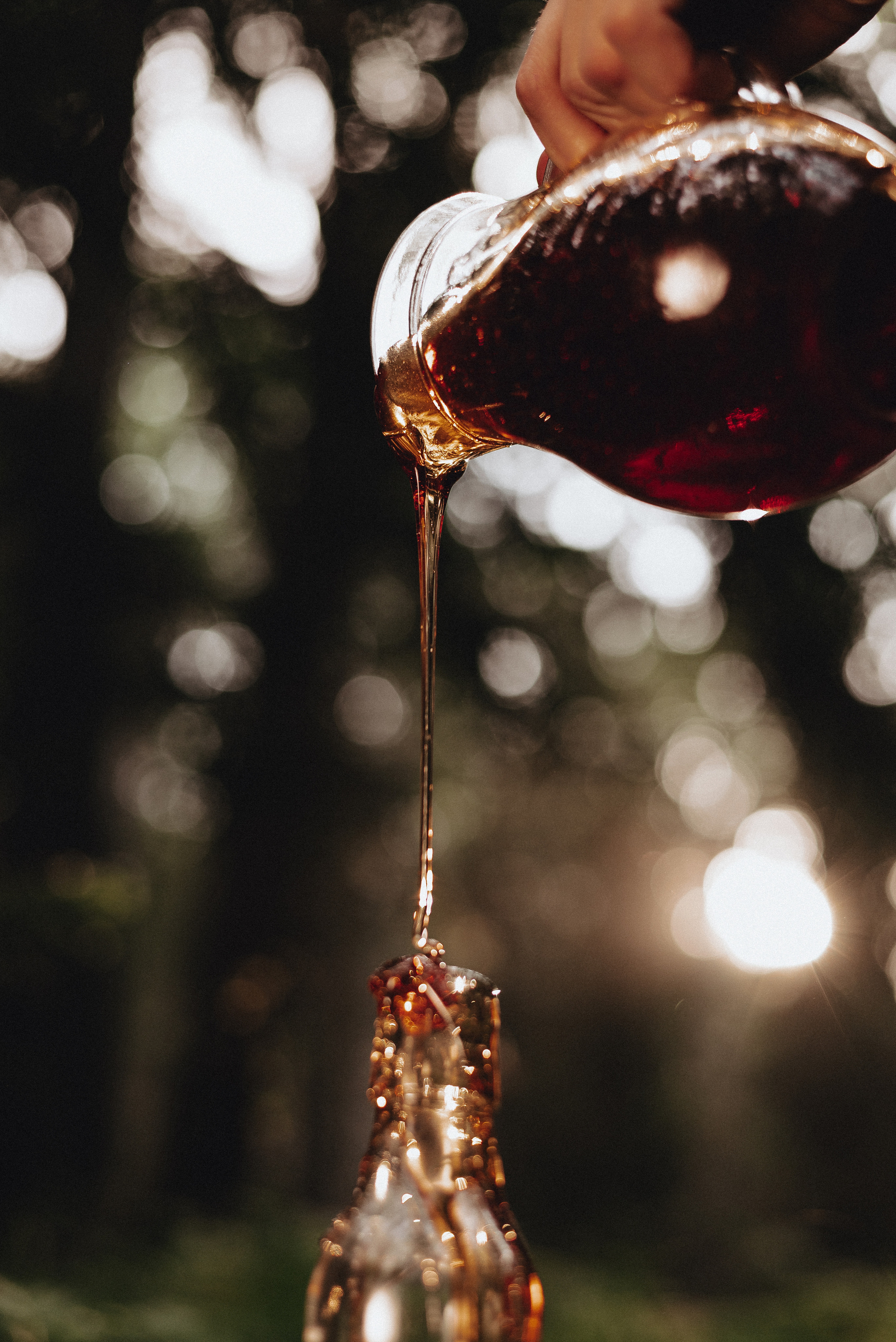 «Таёжная кладовая». Екатерина Курбанова. Женский фотограф