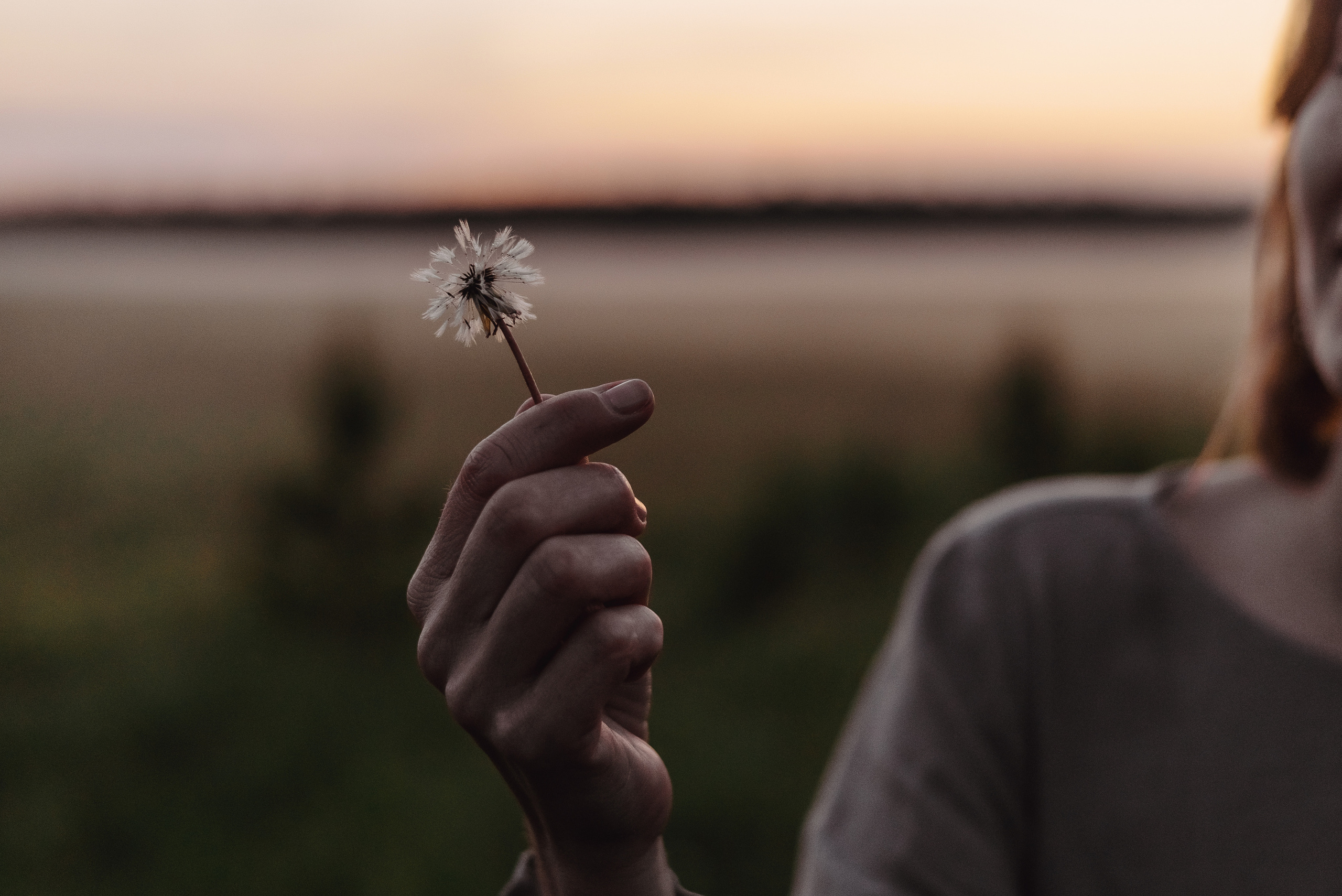 «Таёжная кладовая». Екатерина Курбанова. Женский фотограф