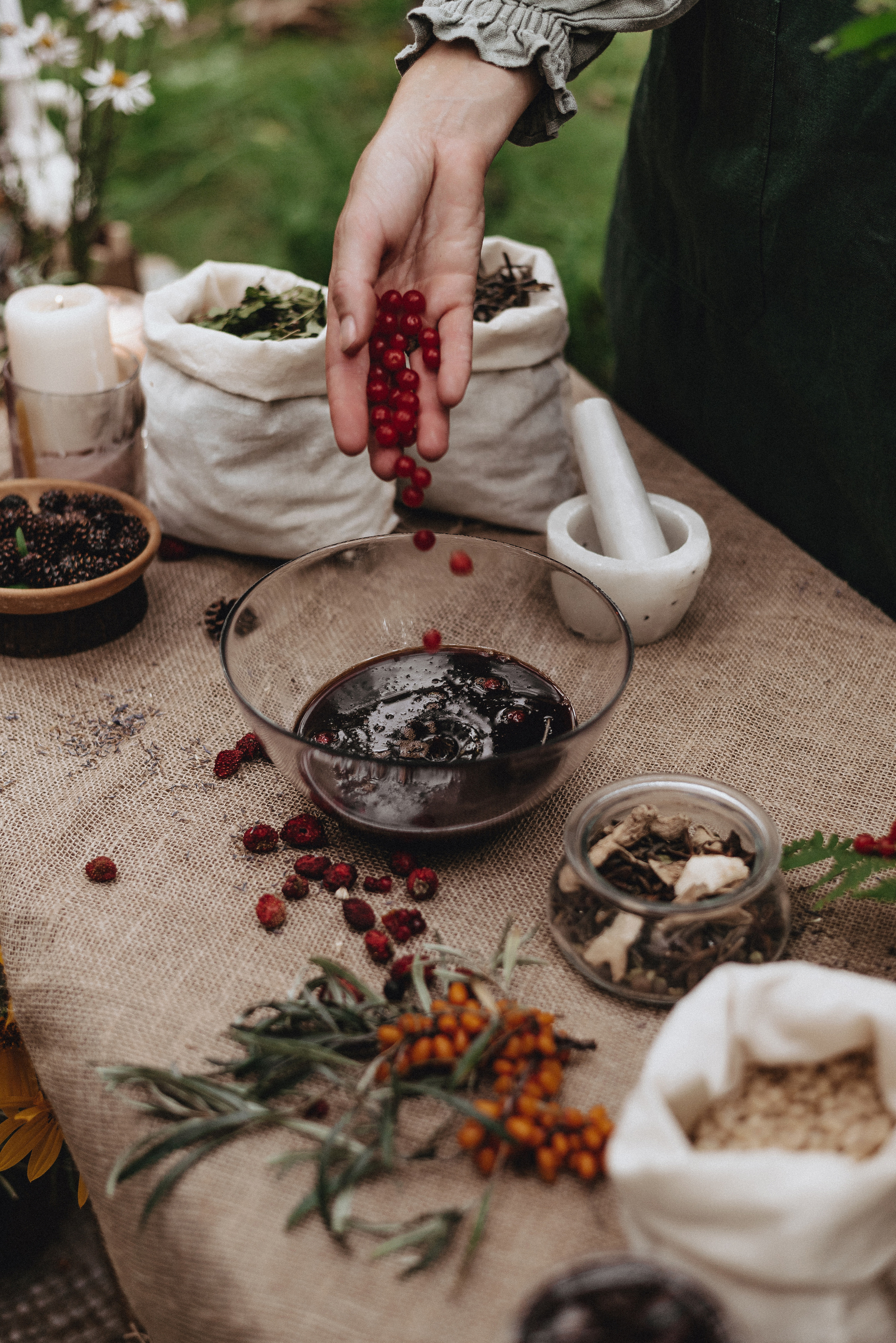 «Таёжная кладовая». Екатерина Курбанова. Женский фотограф