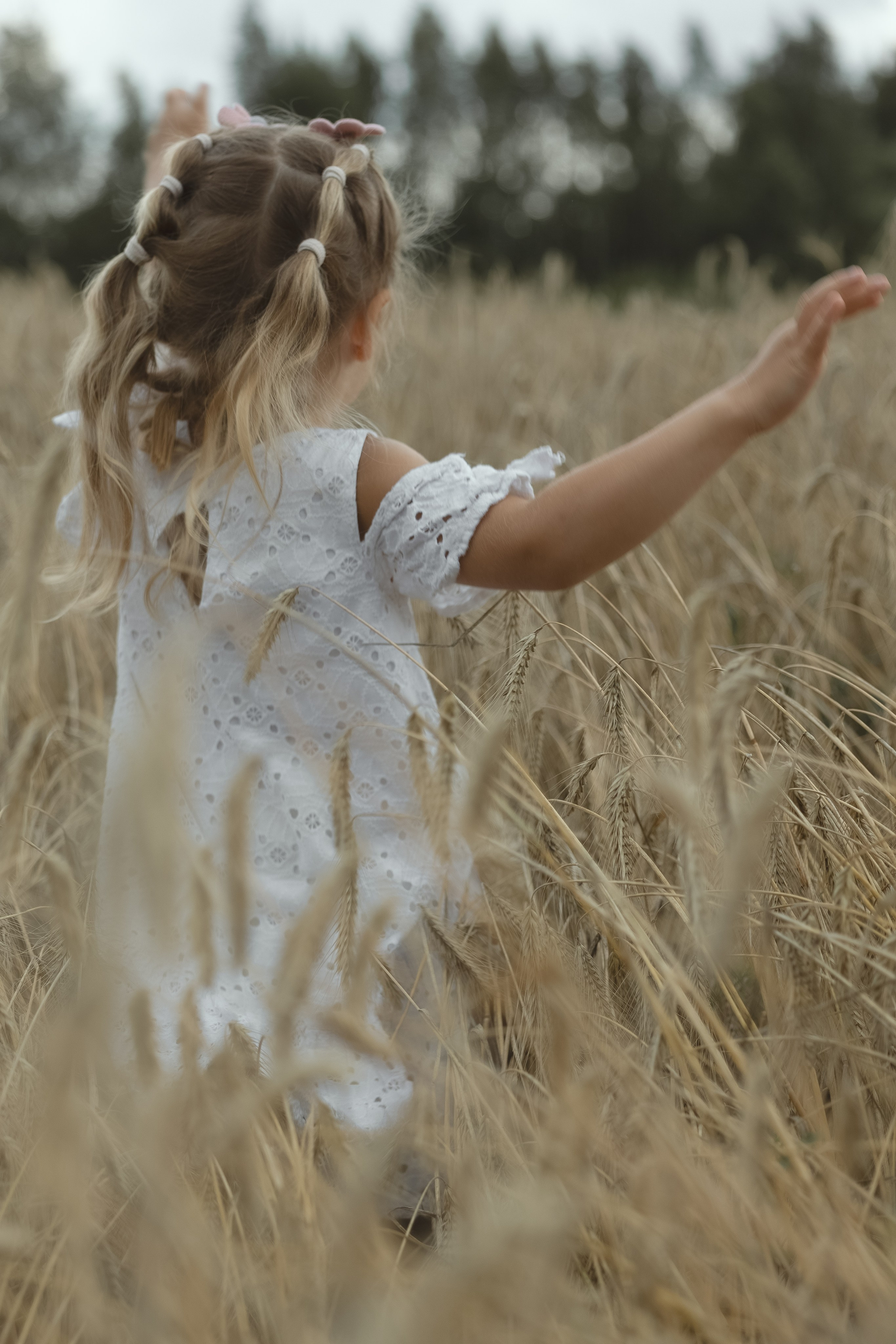 Девочки в поле. Семейный фотограф в городе Тула Любовь Сабирова