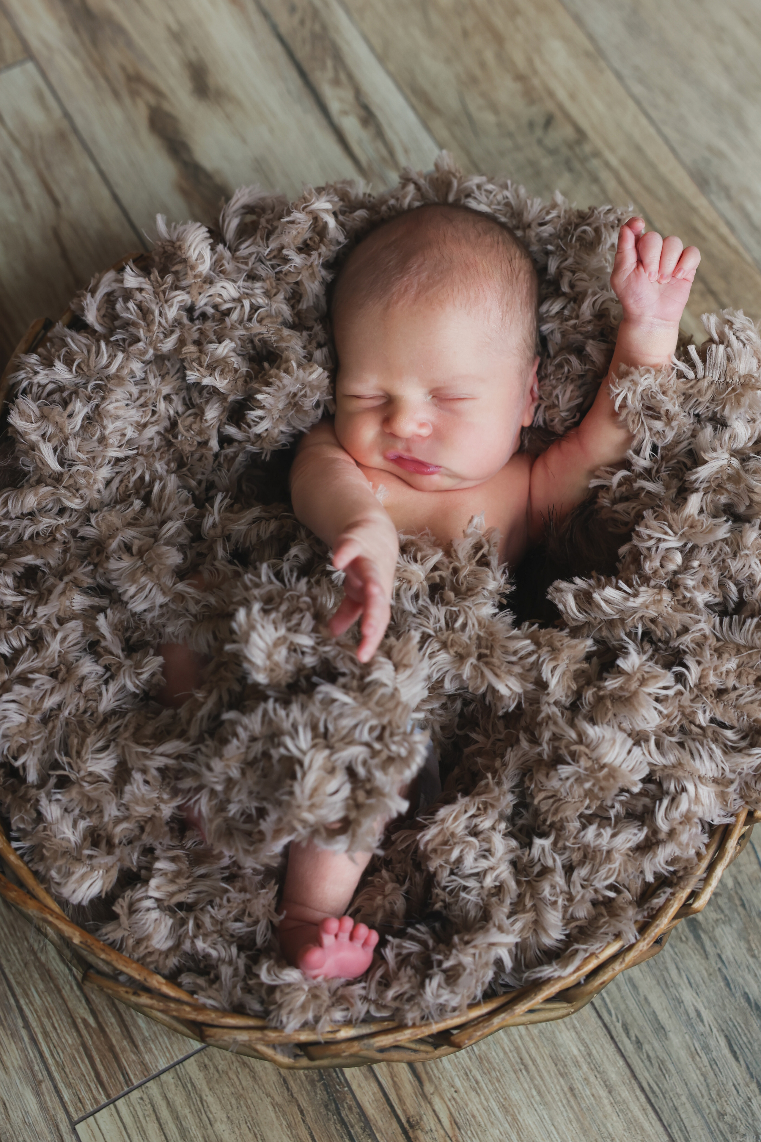 Кузьма. Оксана Ромашкина- семейный и ньюборн фотограф из Москвы