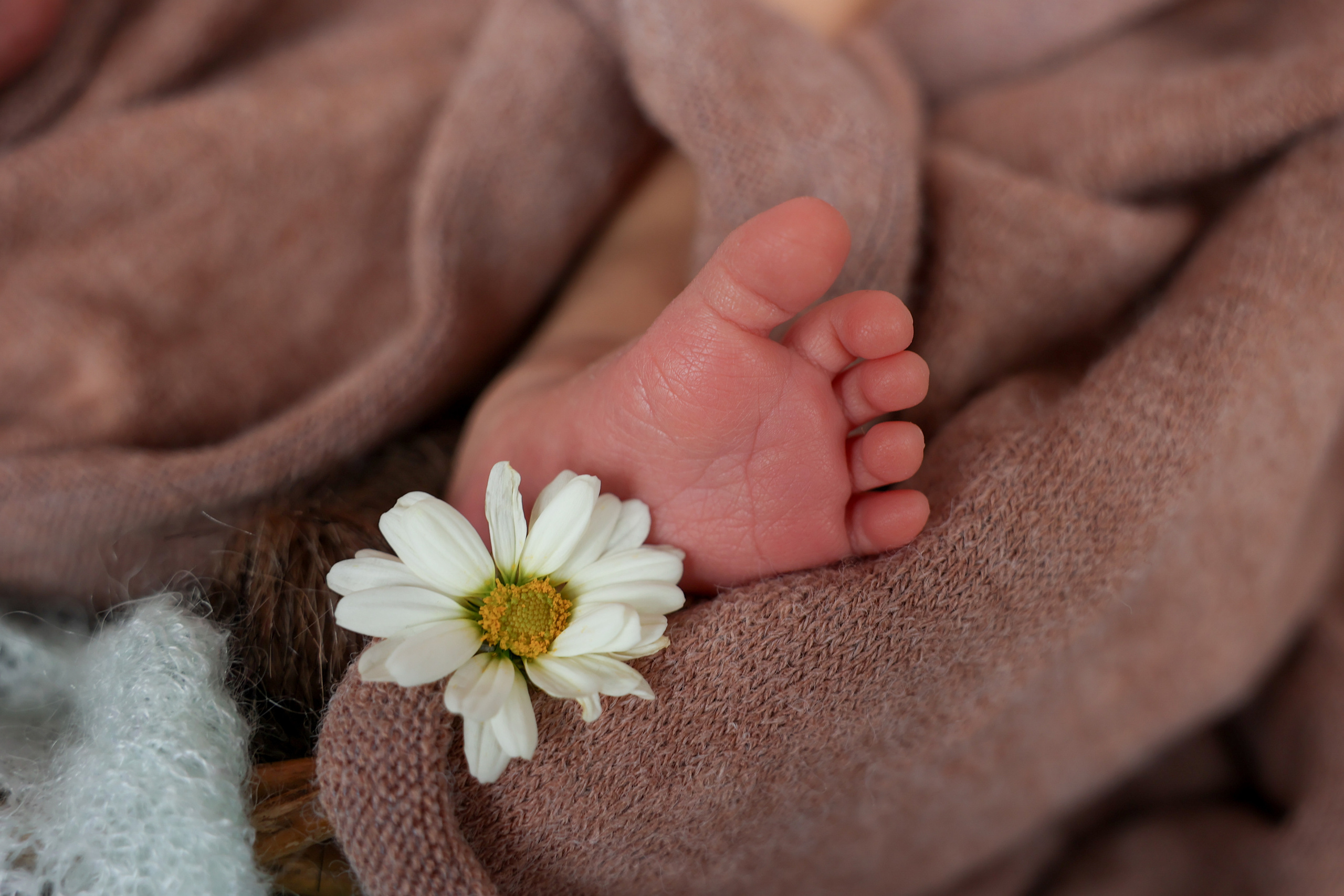 Иван. Оксана Ромашкина- семейный и ньюборн фотограф из Москвы