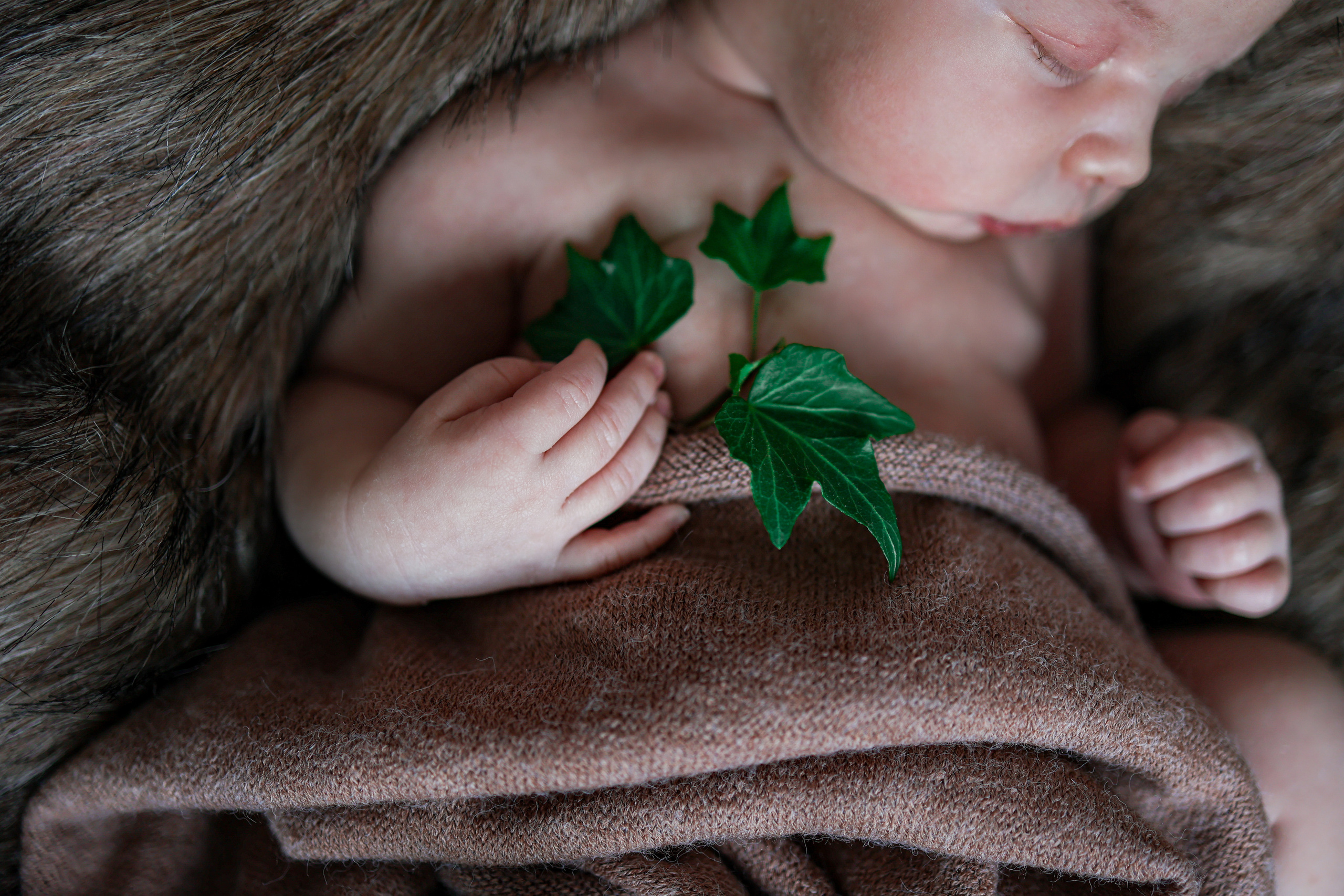 Николай. Оксана Ромашкина- семейный и ньюборн фотограф из Москвы