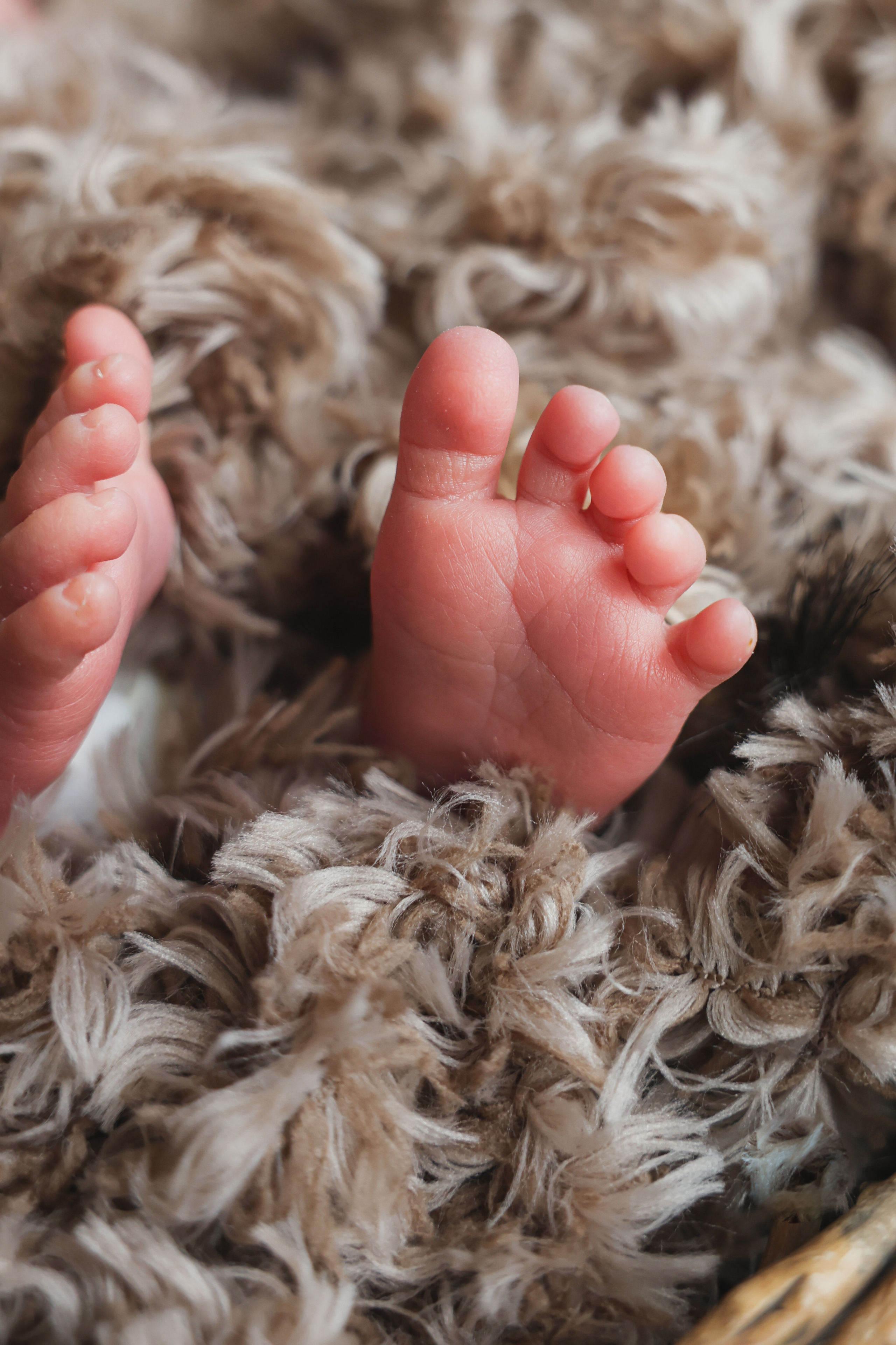 Кузьма. Оксана Ромашкина- семейный и ньюборн фотограф из Москвы