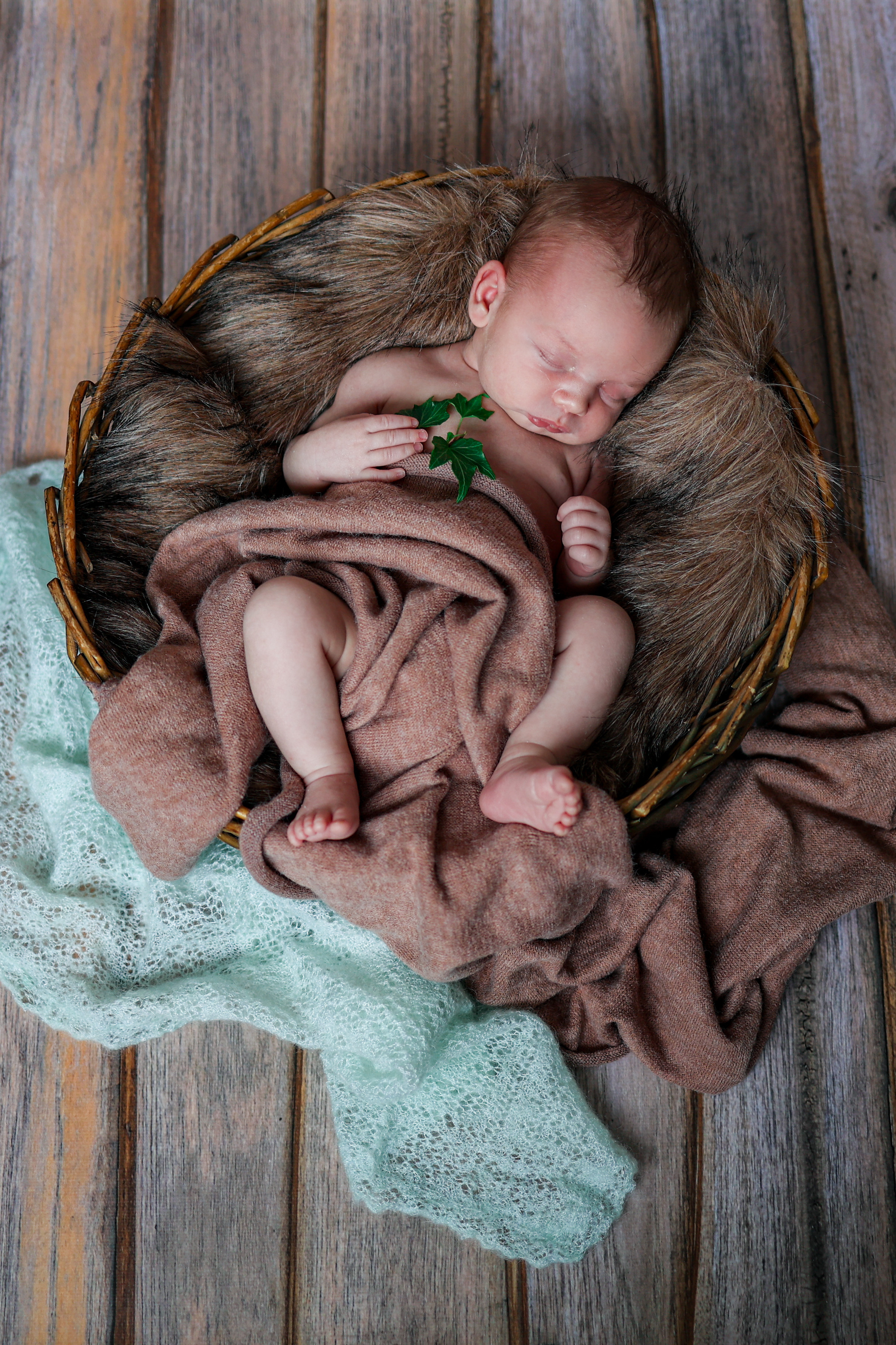Николай. Оксана Ромашкина- семейный и ньюборн фотограф из Москвы