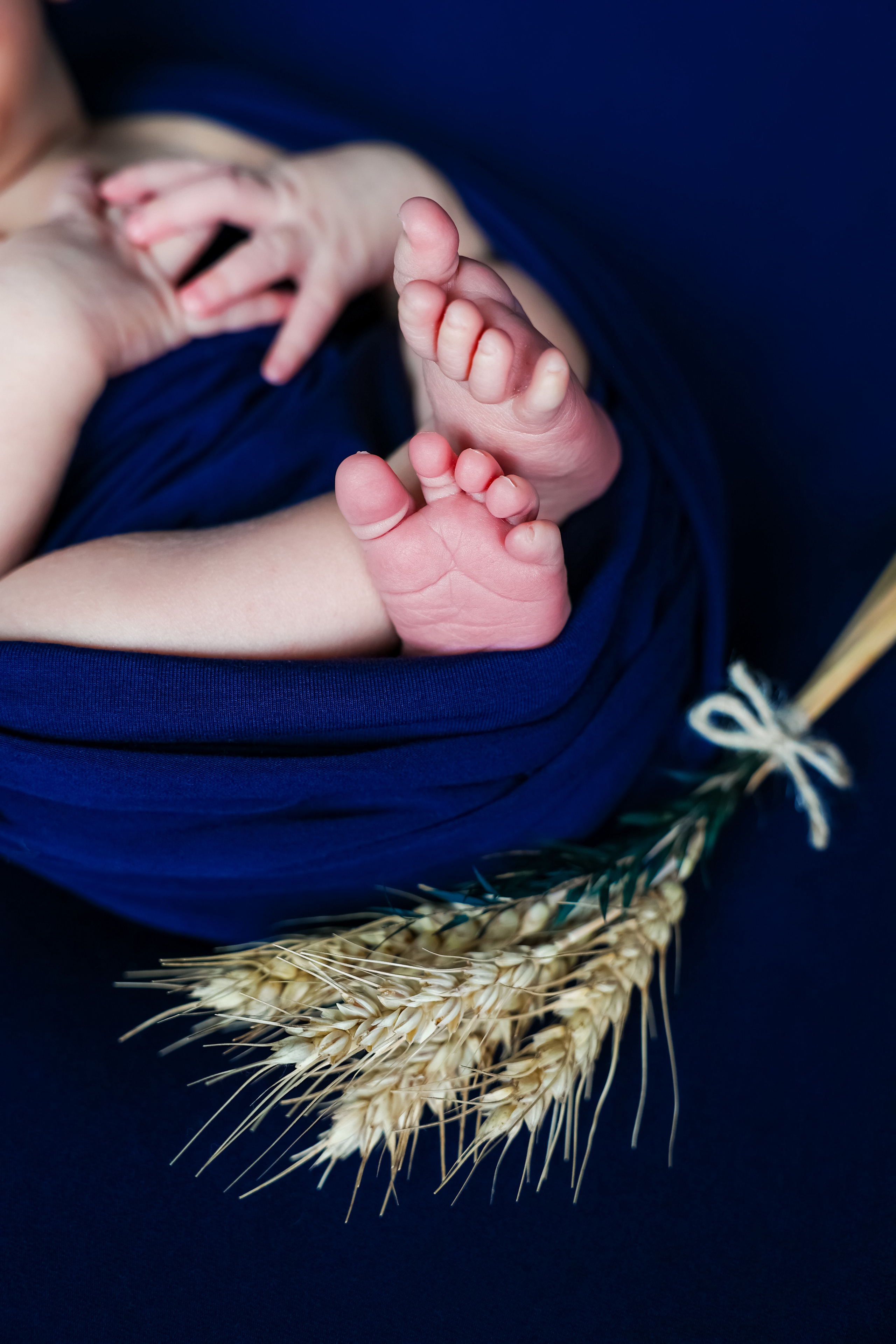 Леон. Оксана Ромашкина- семейный и ньюборн фотограф из Москвы