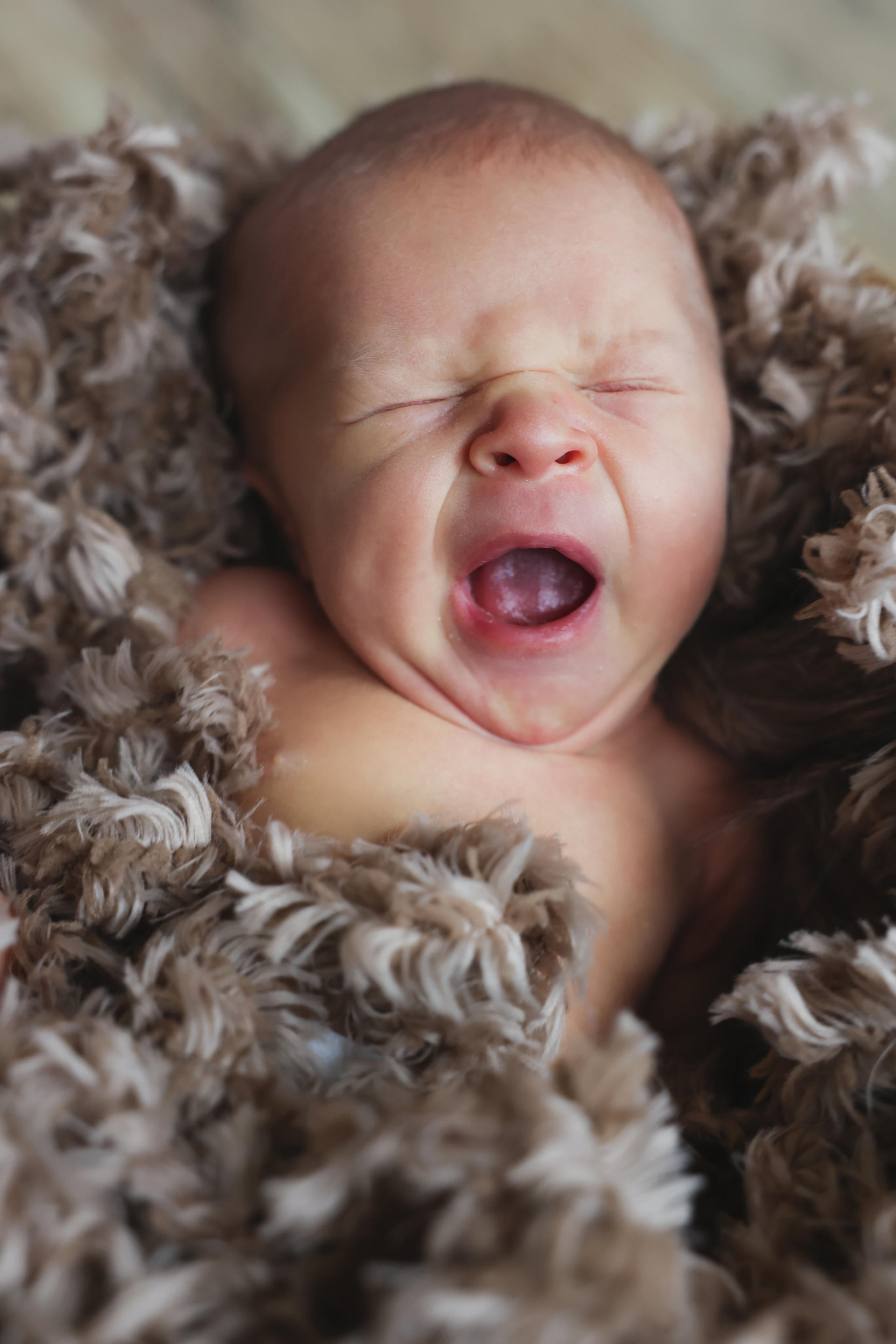 Кузьма. Оксана Ромашкина- семейный и ньюборн фотограф из Москвы