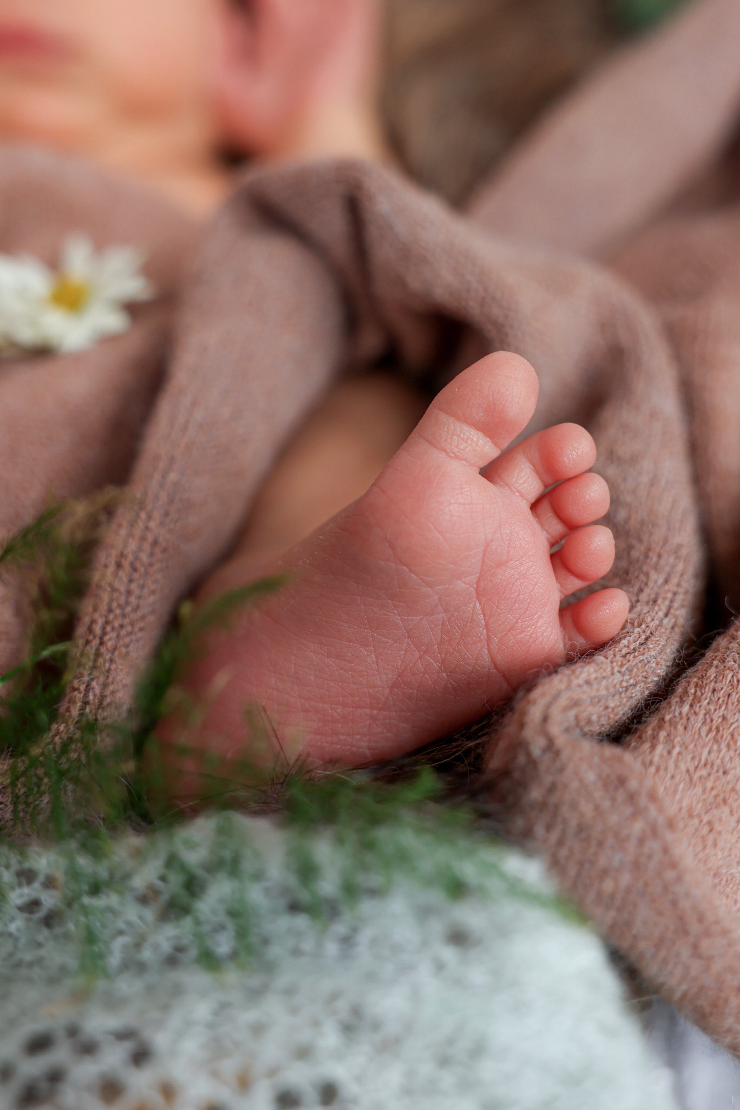 Иван. Оксана Ромашкина- семейный и ньюборн фотограф из Москвы