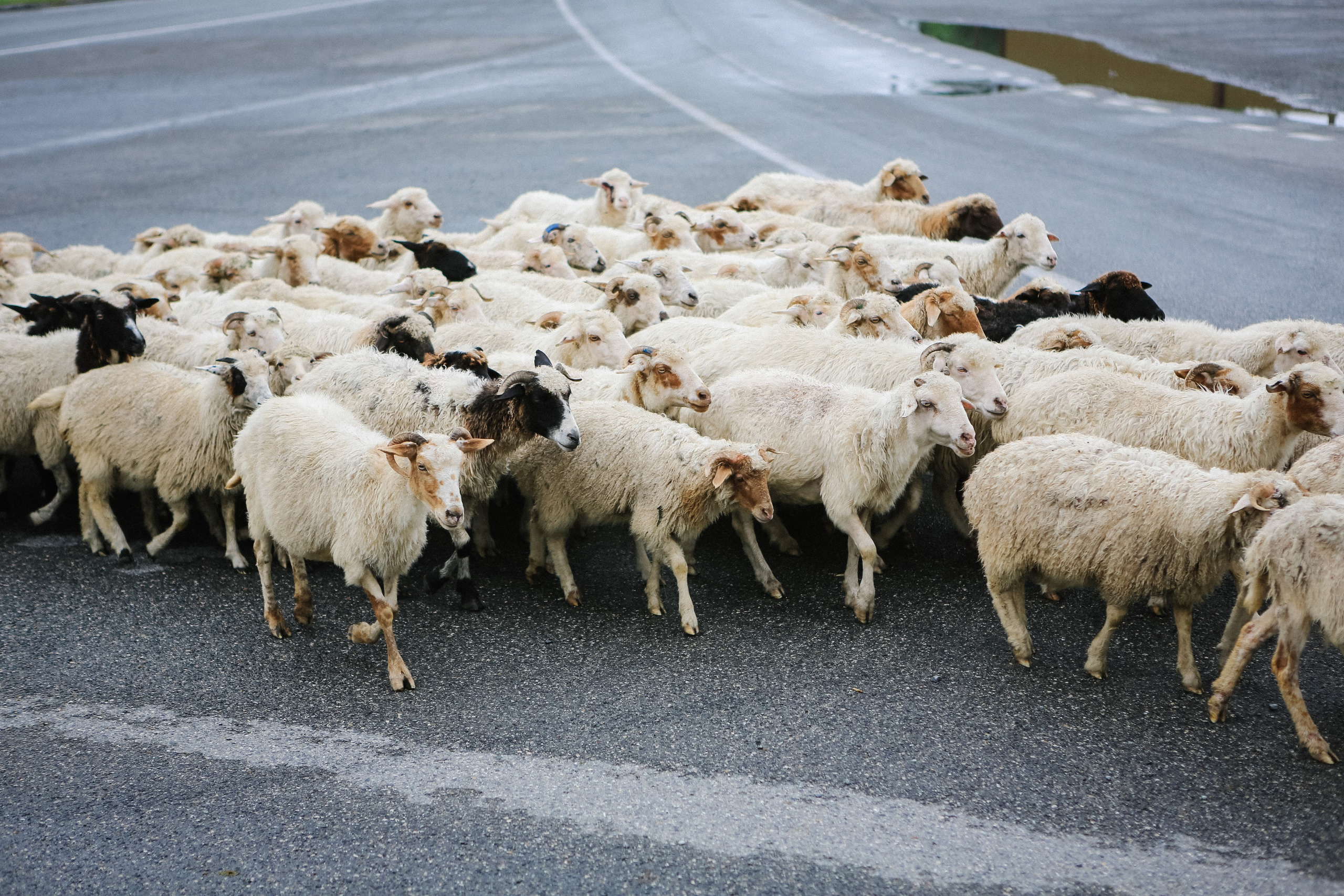 Пресс-тур для Неизвестного Кавказа. Свадебный и портретный фотограф в Пятигорске, КМВ — Власова Юля