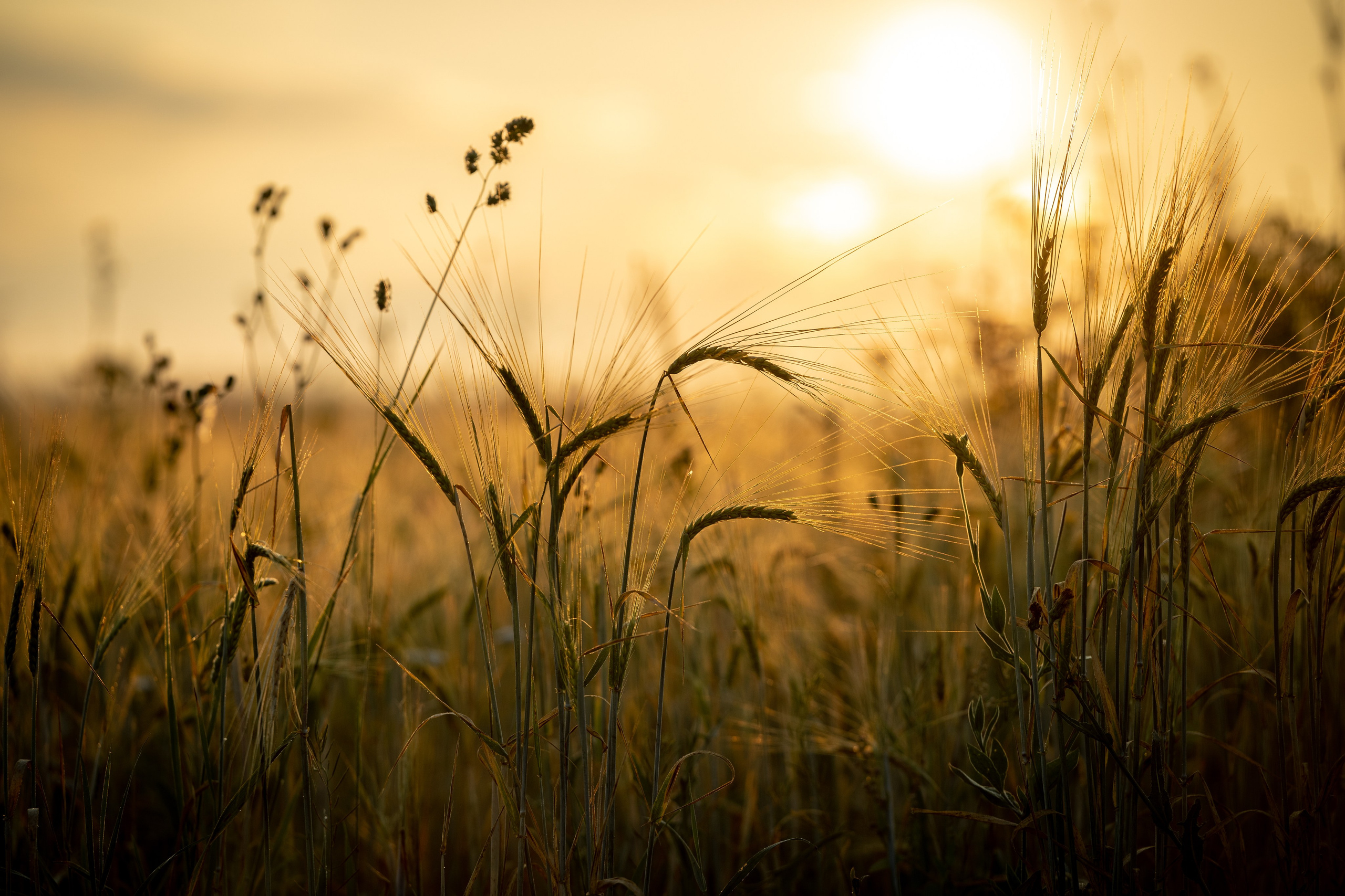 Природные пейзажи. Наталия Клевинскас портретный фотограф в Костроме