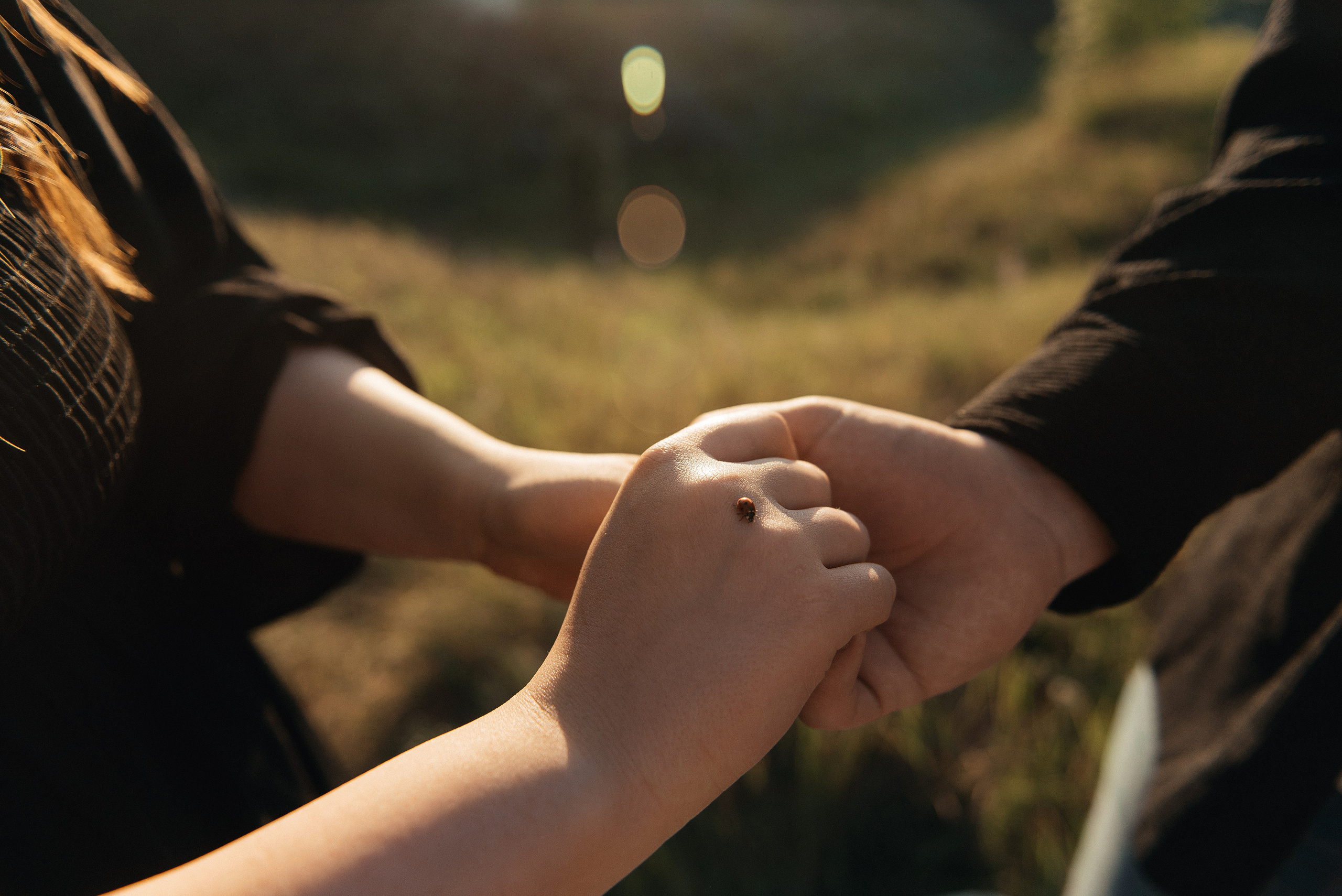 Сергей и Вика. Свадебный фотограф Марина Жемчужникова в Москве и в Белгороде