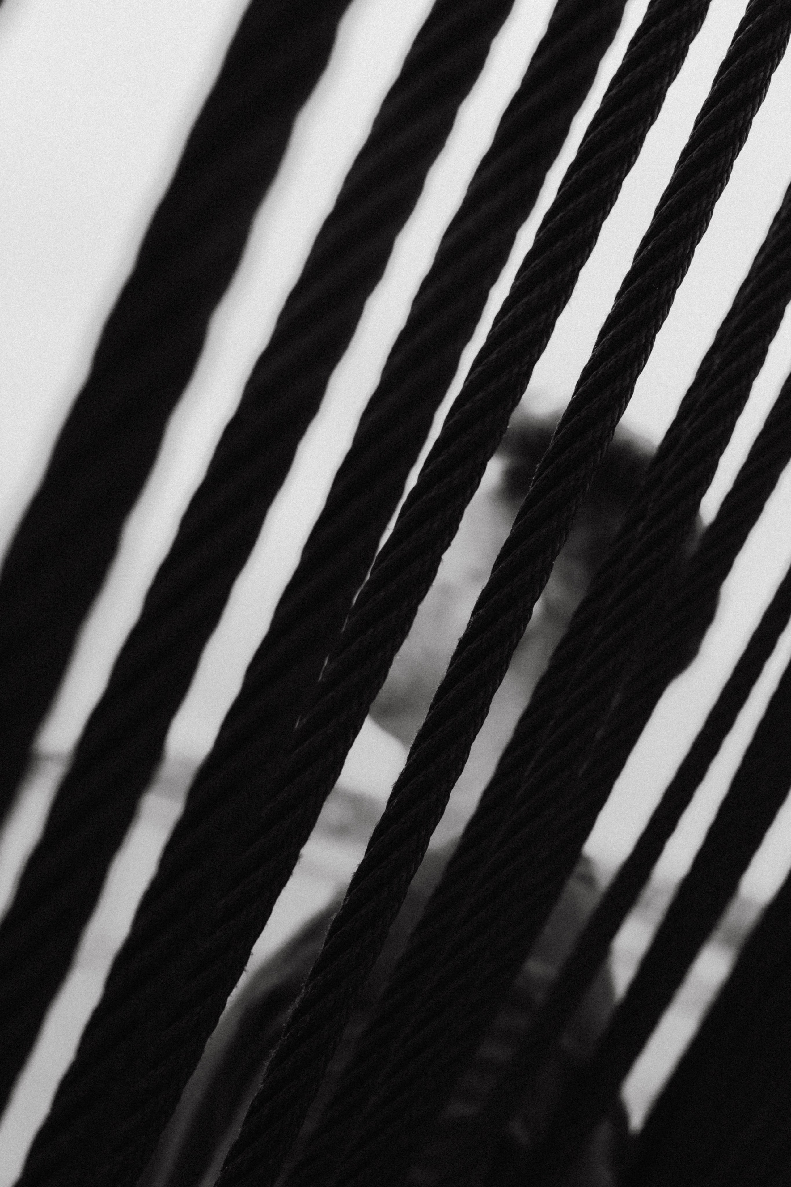 Руслан в малине. Фотограф в Нижнем Новгороде