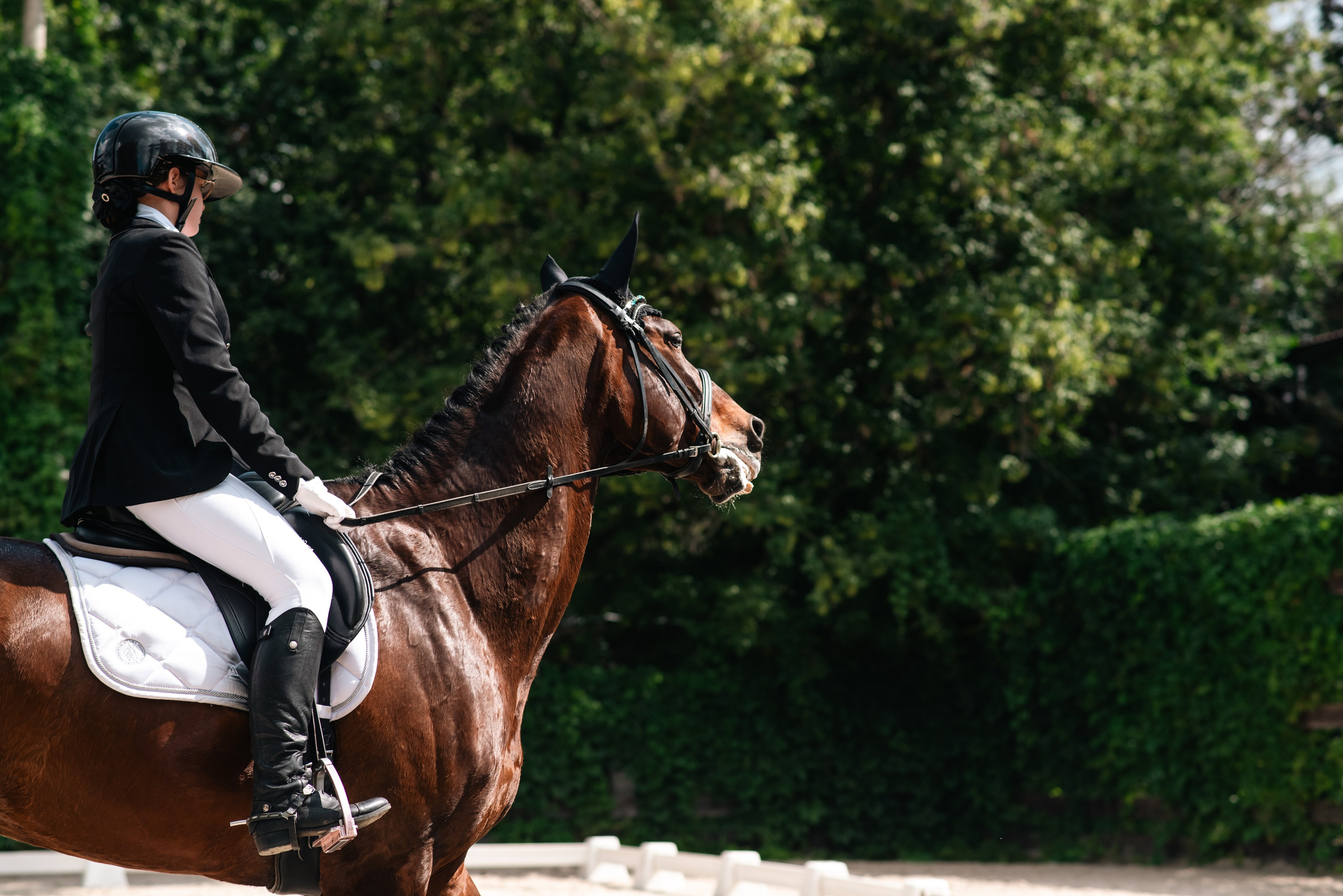 Выездка 10.08.25. Фотограф, визажист. Москва