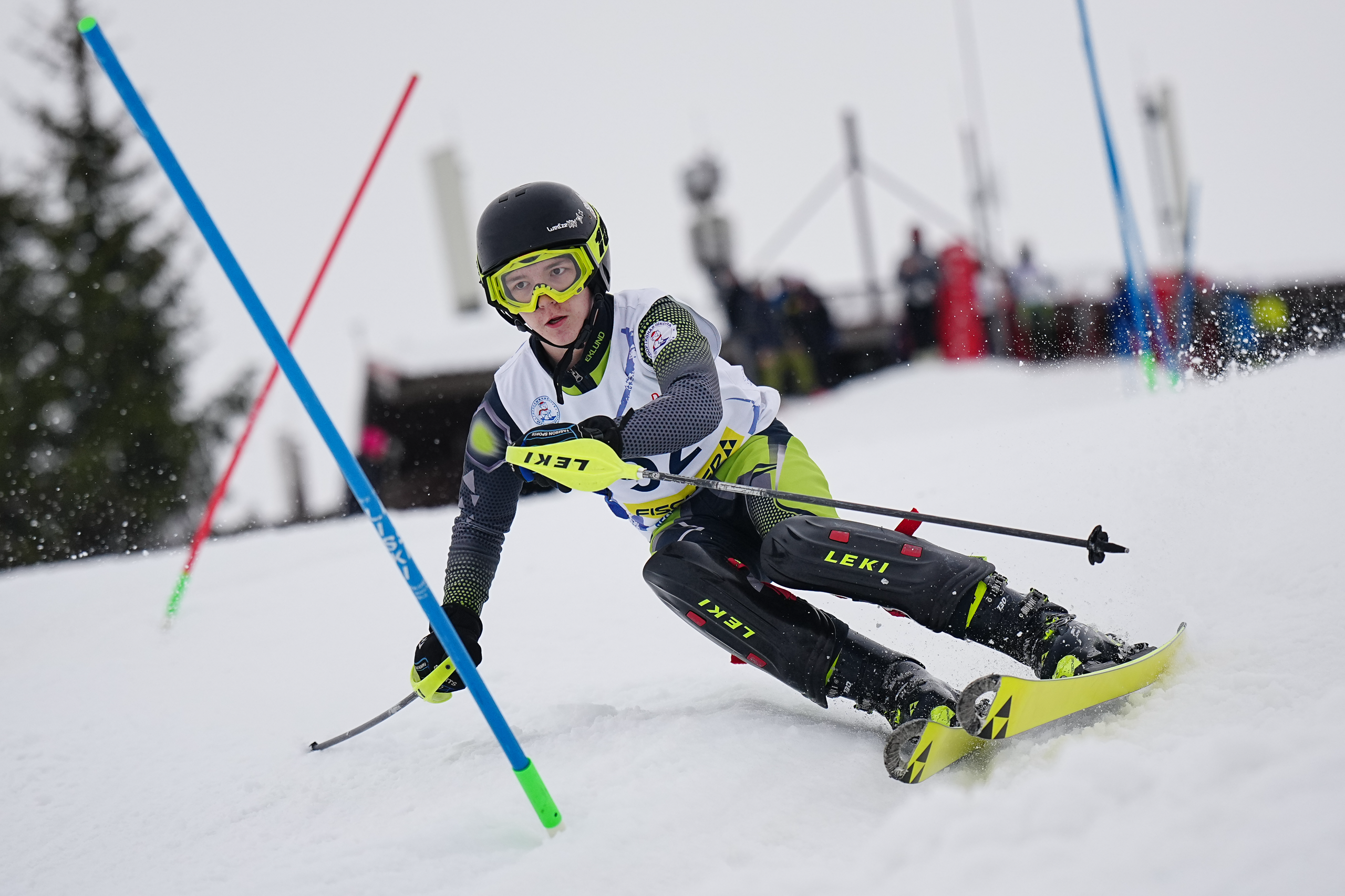 Горные лыжи. Первенство Московской Области