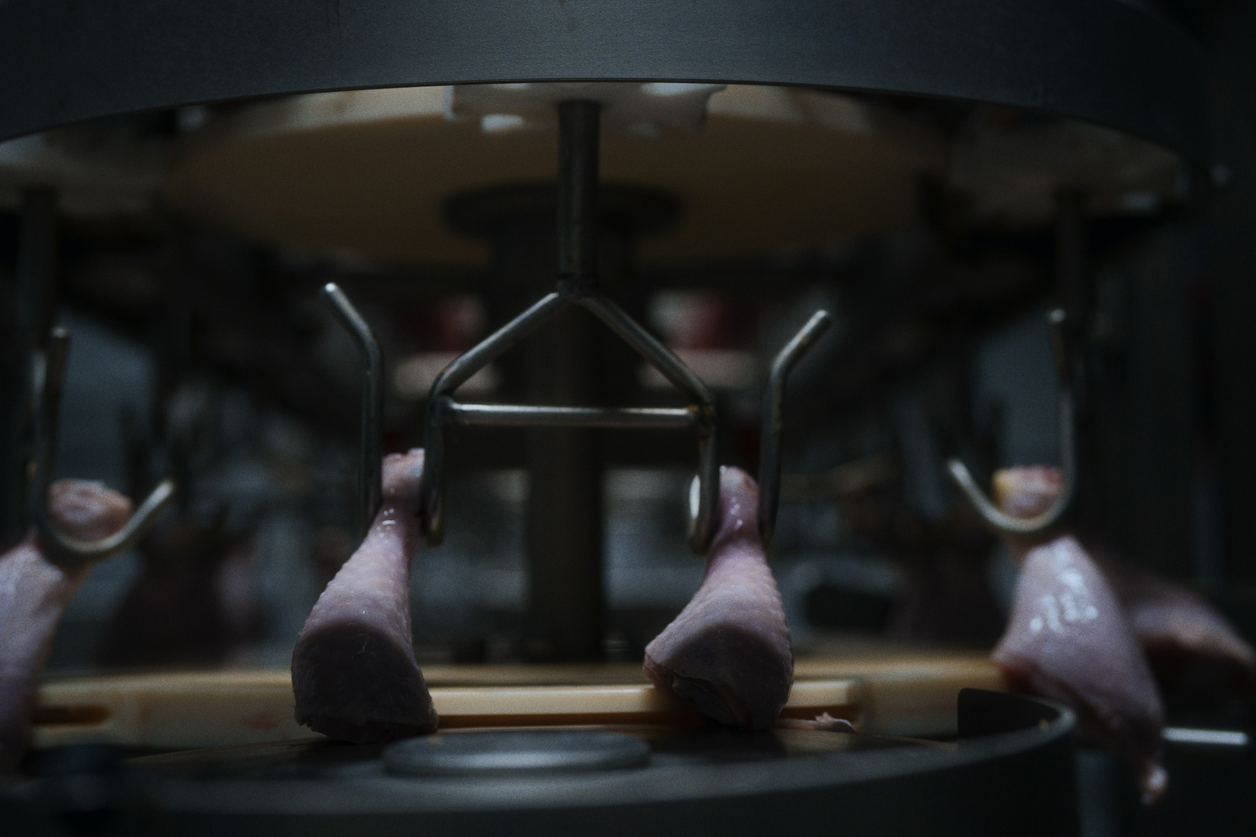 Can you tell a green field from a cold steel rail?. Фотограф Юрин Евгений