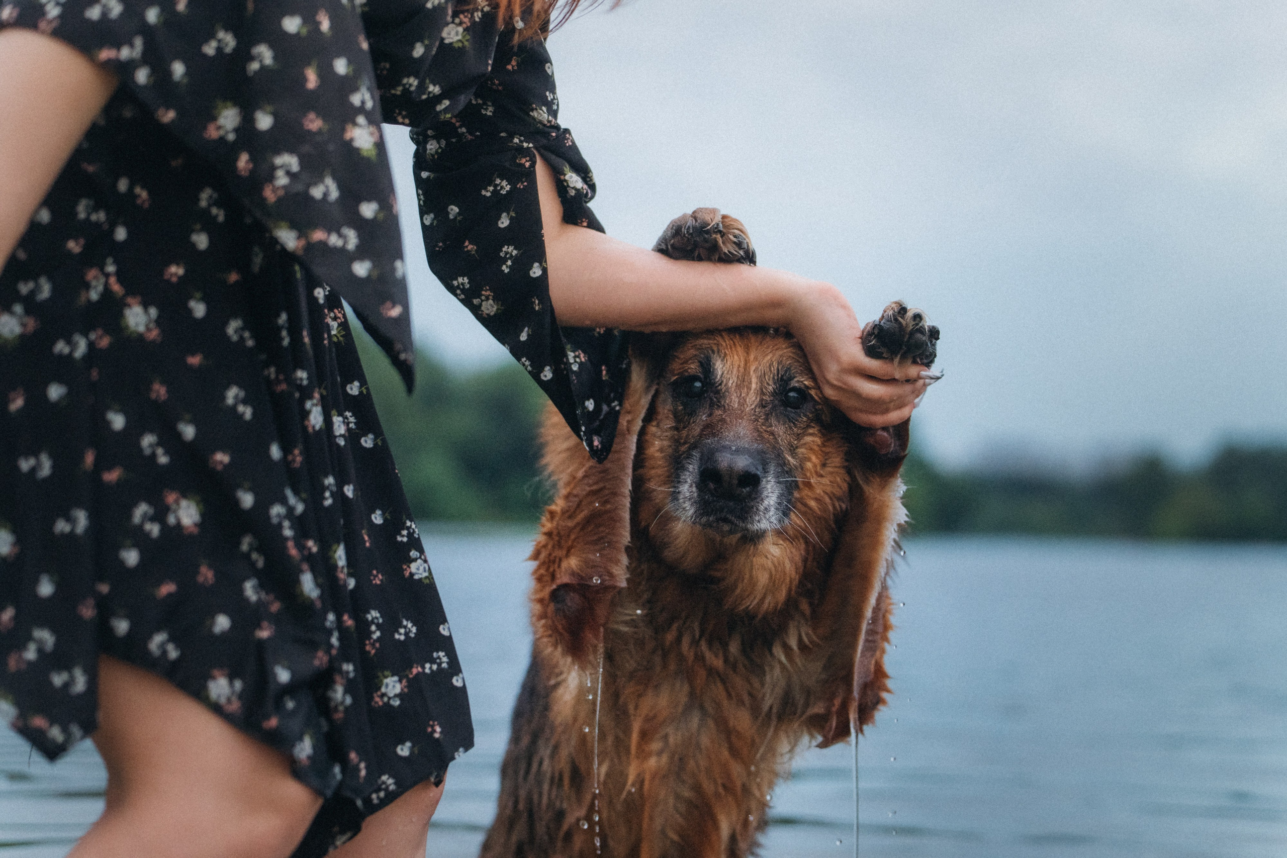 Вика и Фрея. Фотограф анималист в Москве и Санкт-Петербурге Свиридова Анна