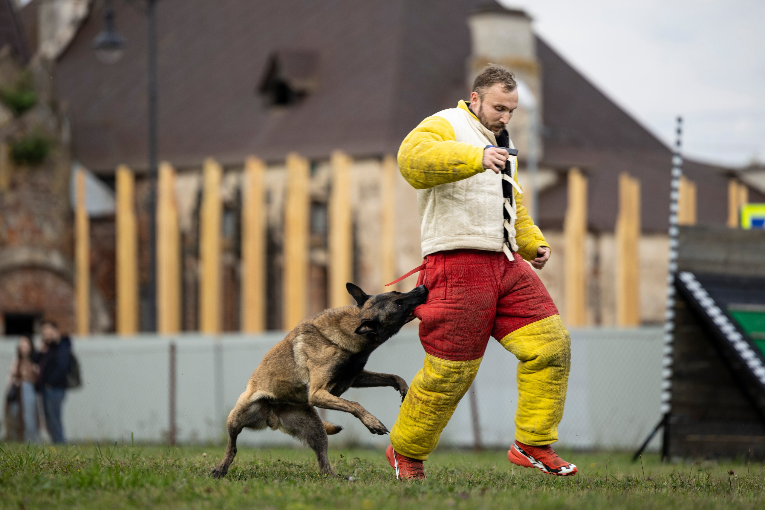 Испытания по Мондьорингу г. Пушкин. Фотограф-анималист Анна Маринич