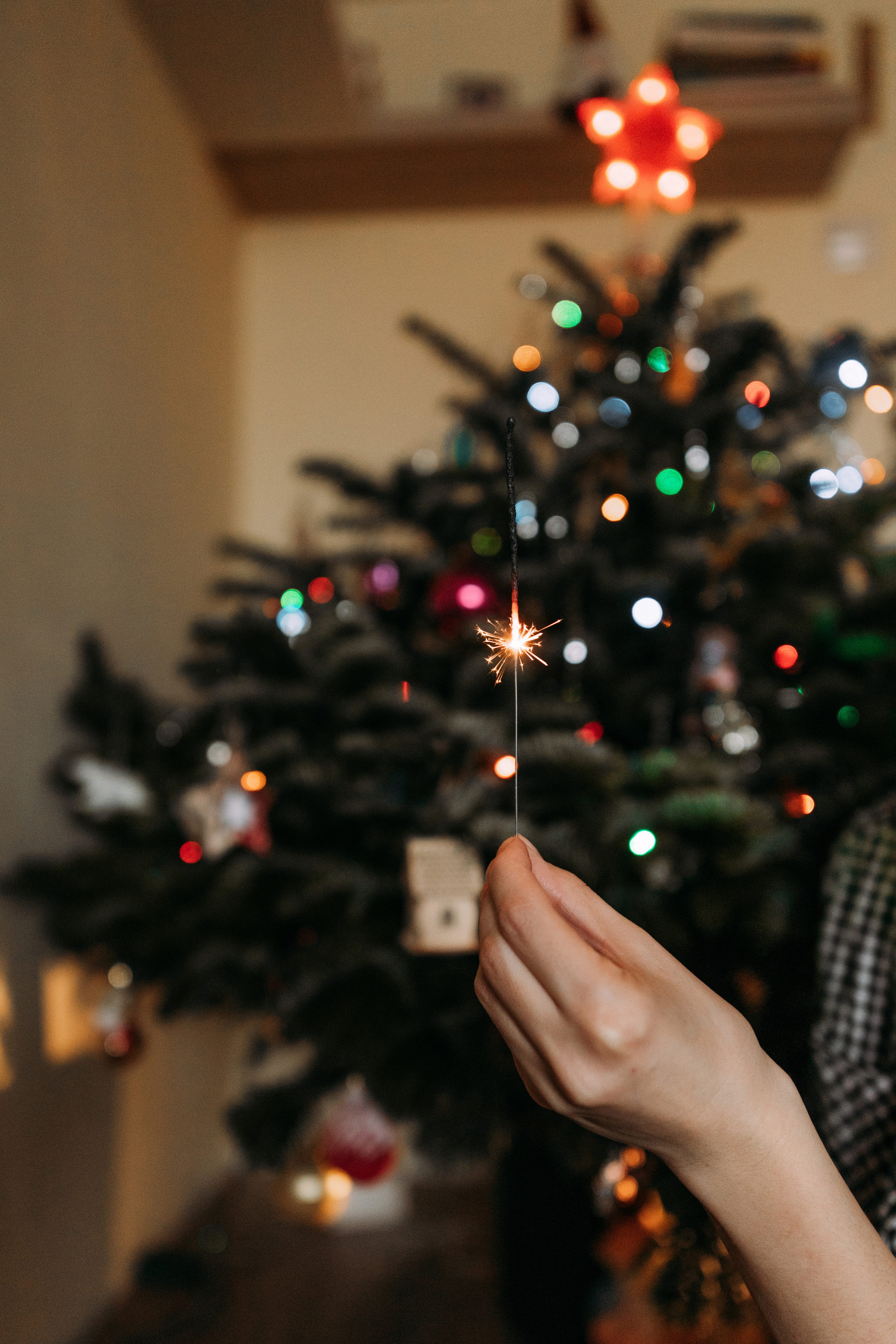 Вика, Лёша, Илья, Лёня. Семейный фотограф и детский фотограф в Волгограде Алеся Бутакова — дет