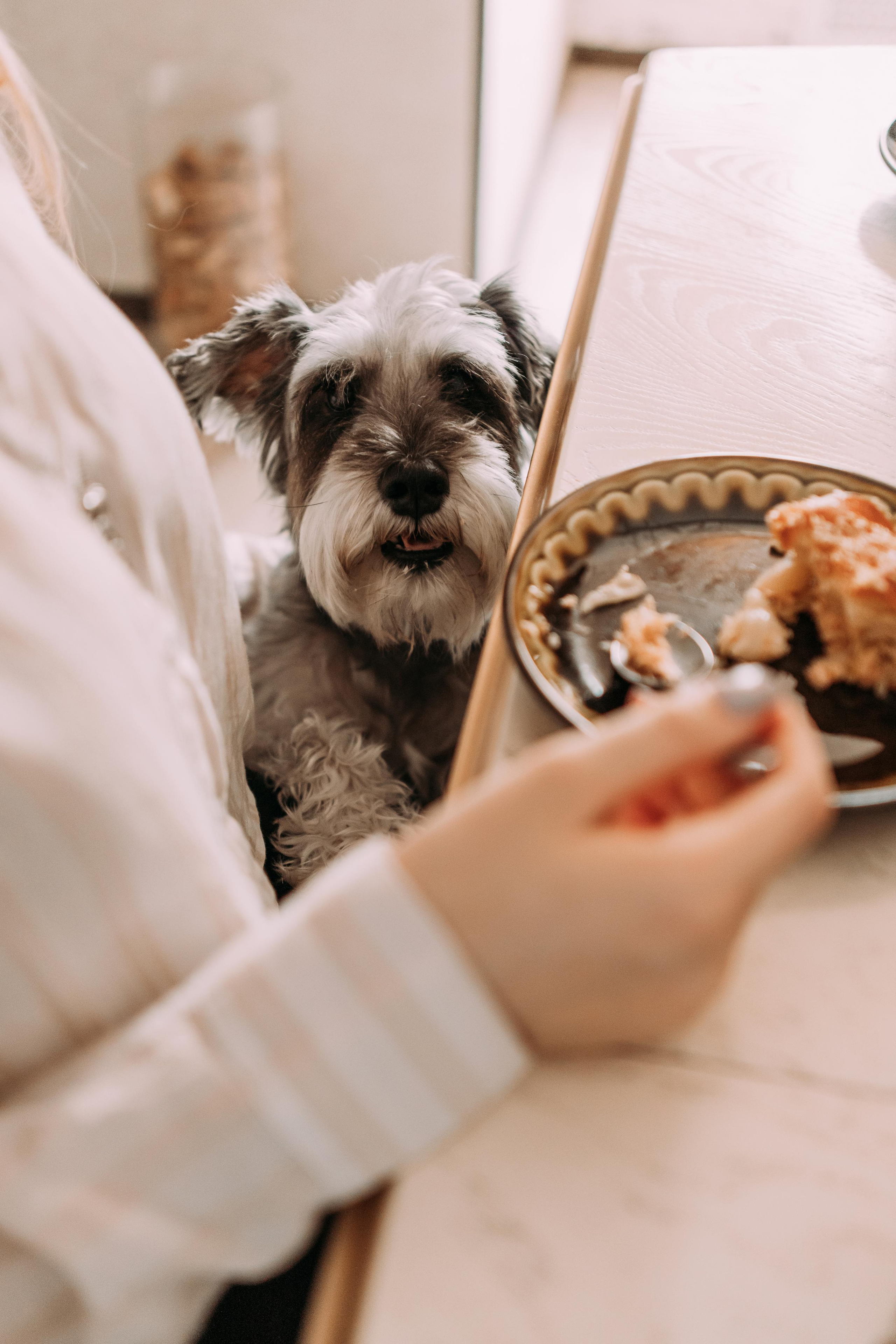 Екатерина, Василий, Настя, Люся и Василиса. Семейный фотограф и детский фотограф в Волгограде Алеся Бутакова — дет