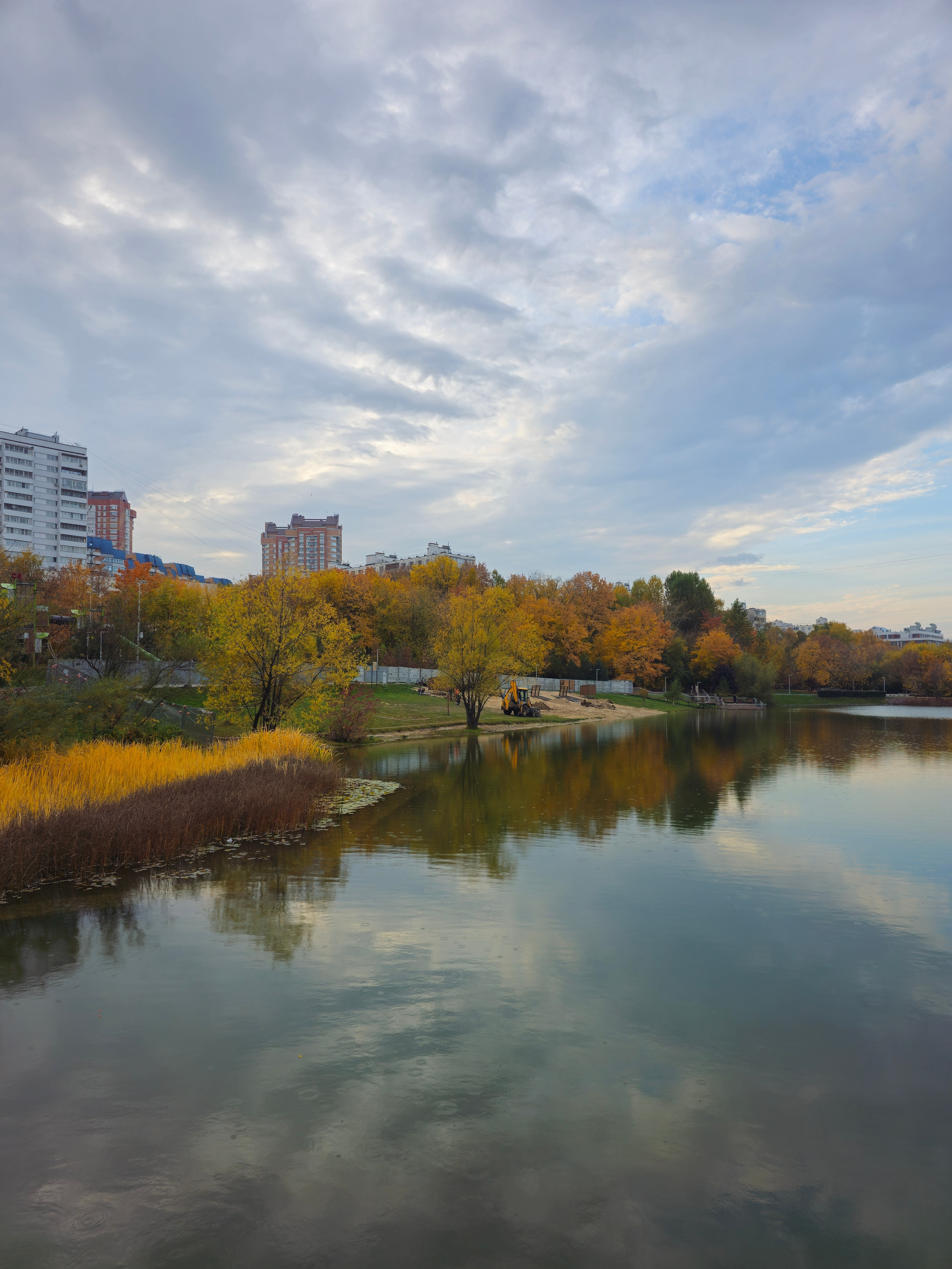 Горизонтальный снимок городского пруда в осенний день. Вода отражает пасмурное небо и берег, усеянный деревьями с желтеющей листвой. На переднем плане справа - густые заросли желтой болотной травы, а на дальнем берегу виднеются многоэтажные жилые дома.