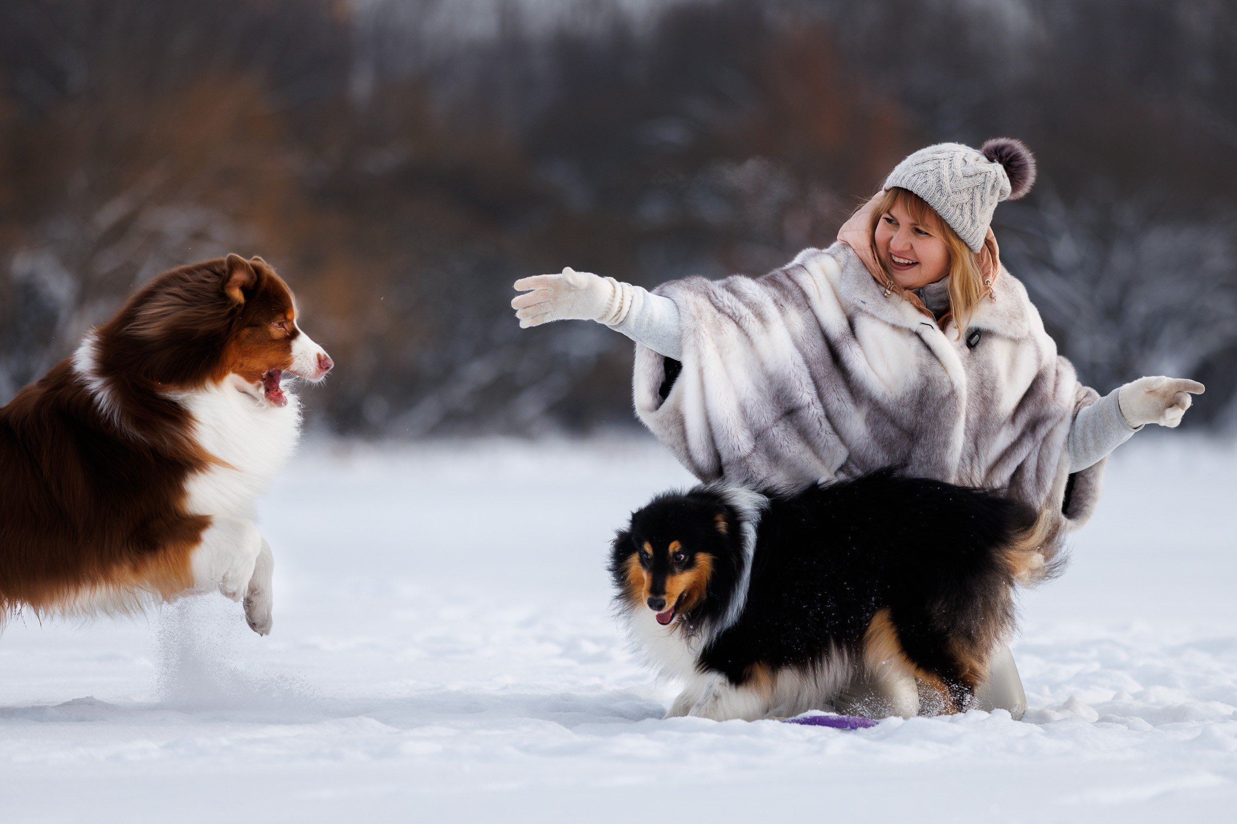 Марик и Дэн. Фотограф-анималист в Москве и Московской области Татьяна Фролова