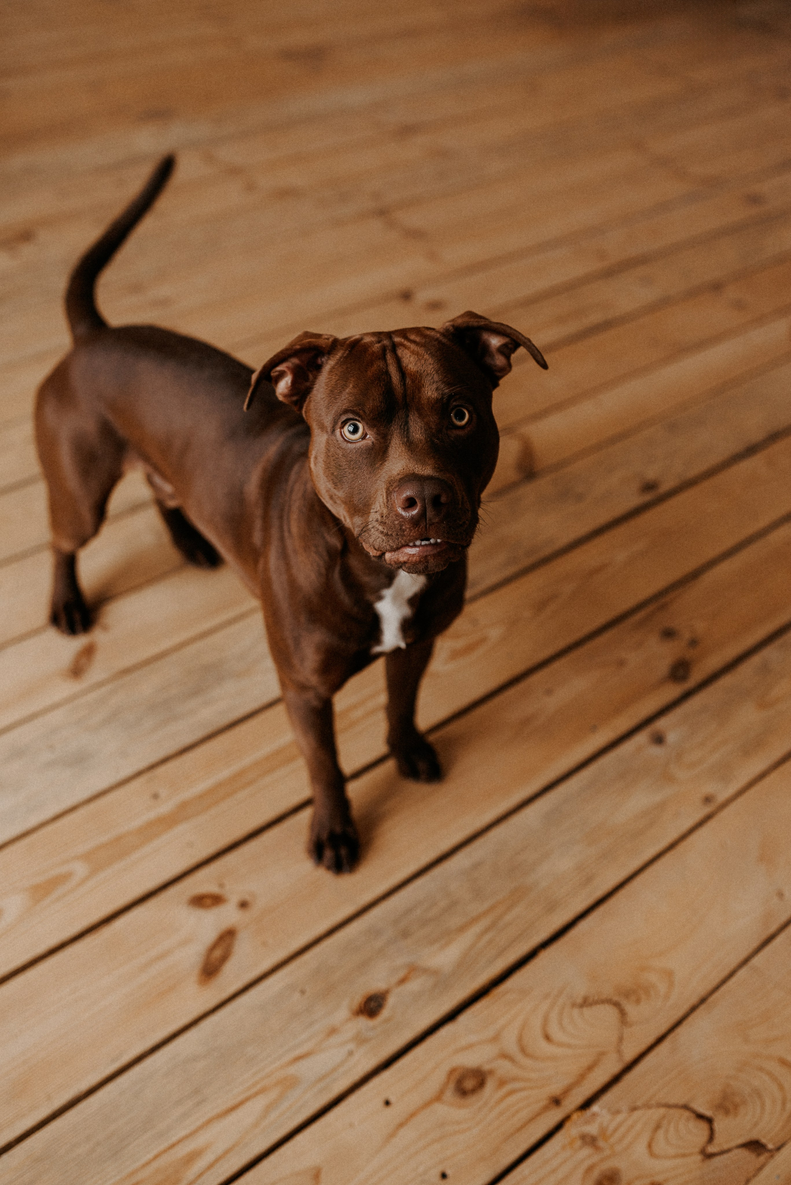 В любви… ЧУДО. Прекрасно все!. Семейный фотограф ЕЛЕНА ШАФИГУЛИНА