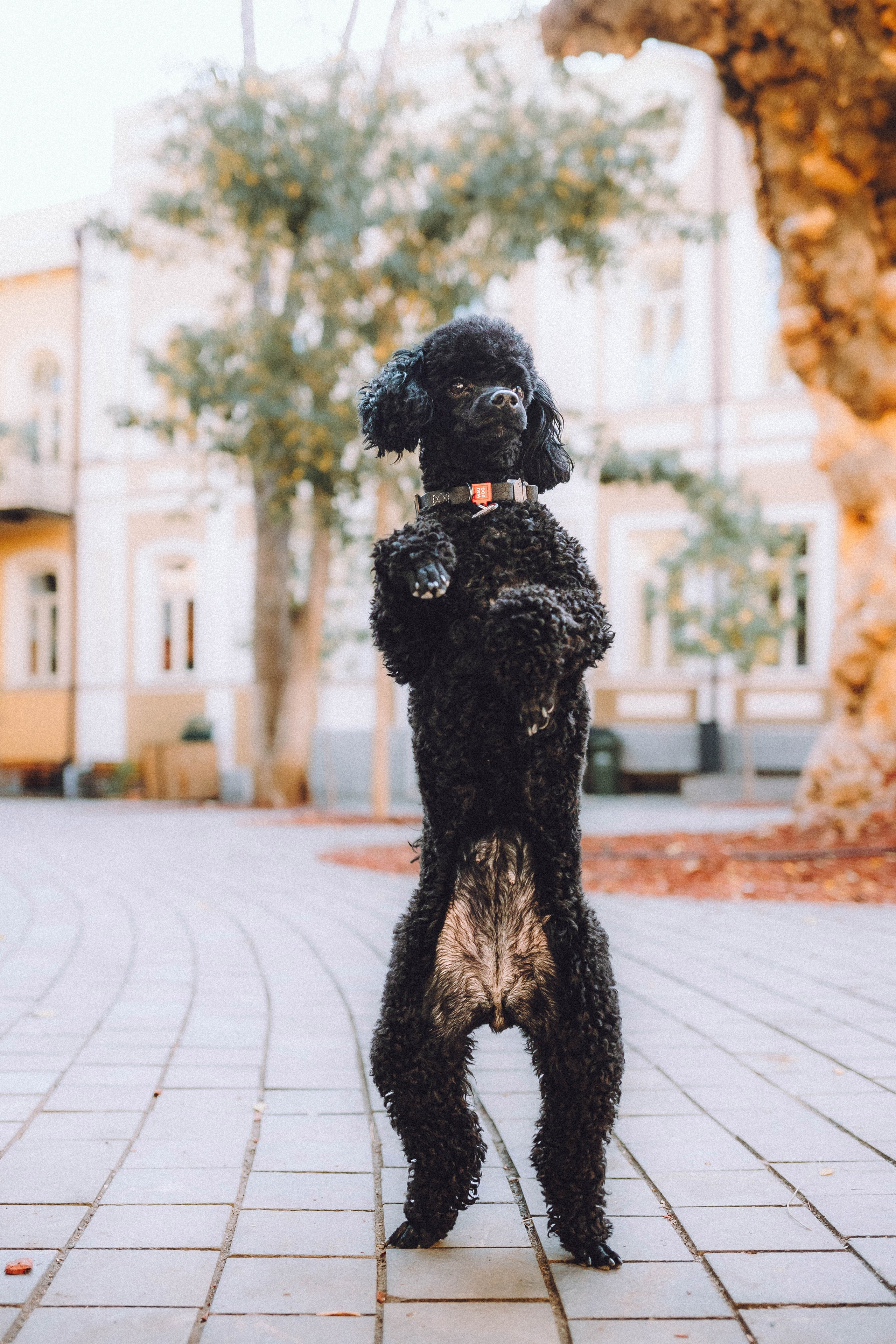 Игнат, Даша и Бэтти